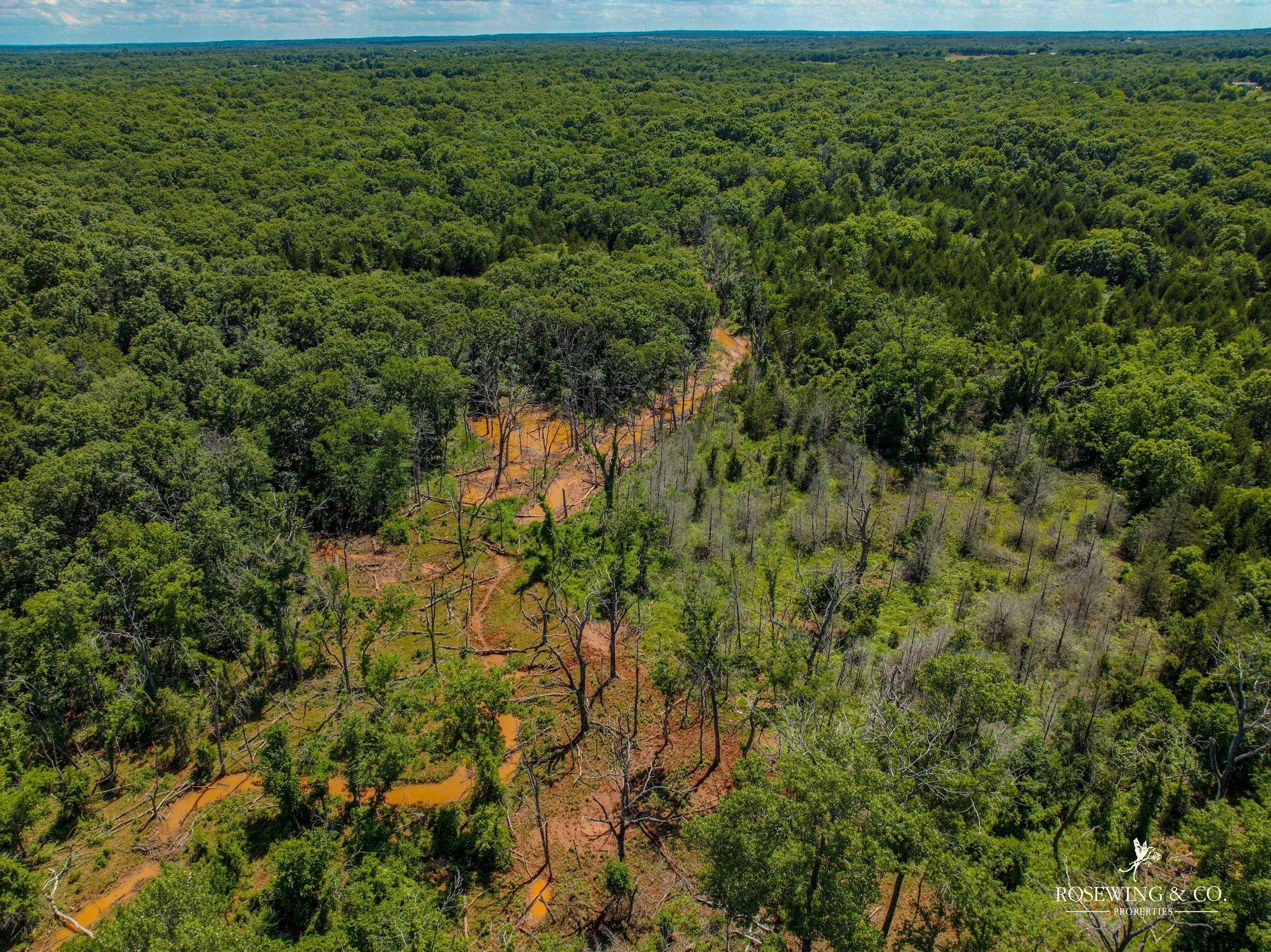 dji_fly_20260529_041730_888_1780419798549_photo.jpg