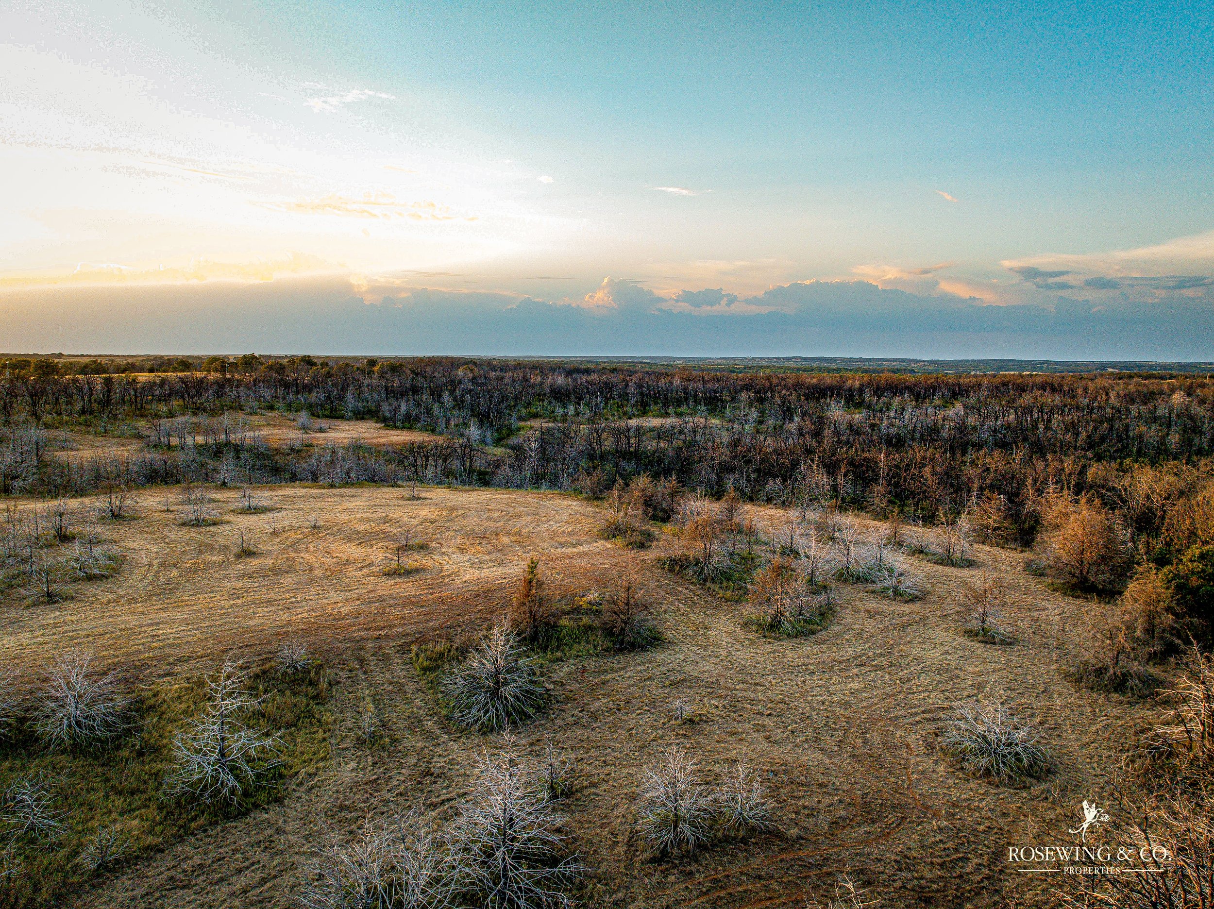 dji_fly_20260910_082544_68_1789057122632_photo.jpeg