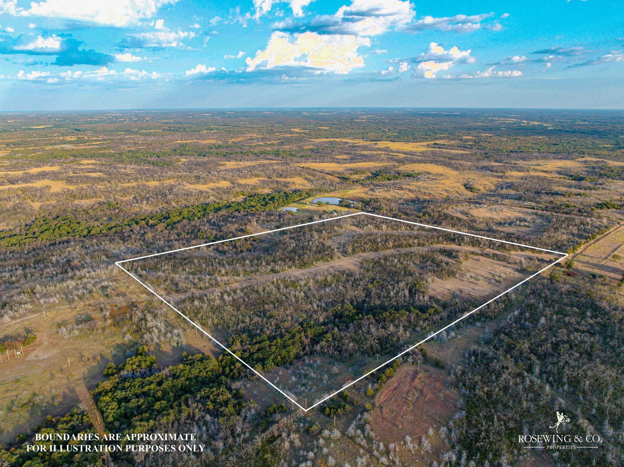 dji_fly_20260910_075740_1_1789057163270_photo.jpeg