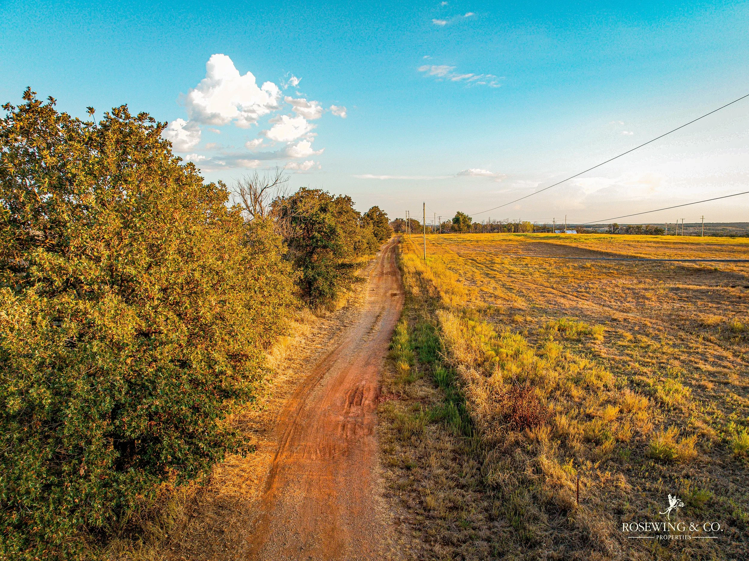dji_fly_20260910_081520_29_1789057146965_photo.jpeg
