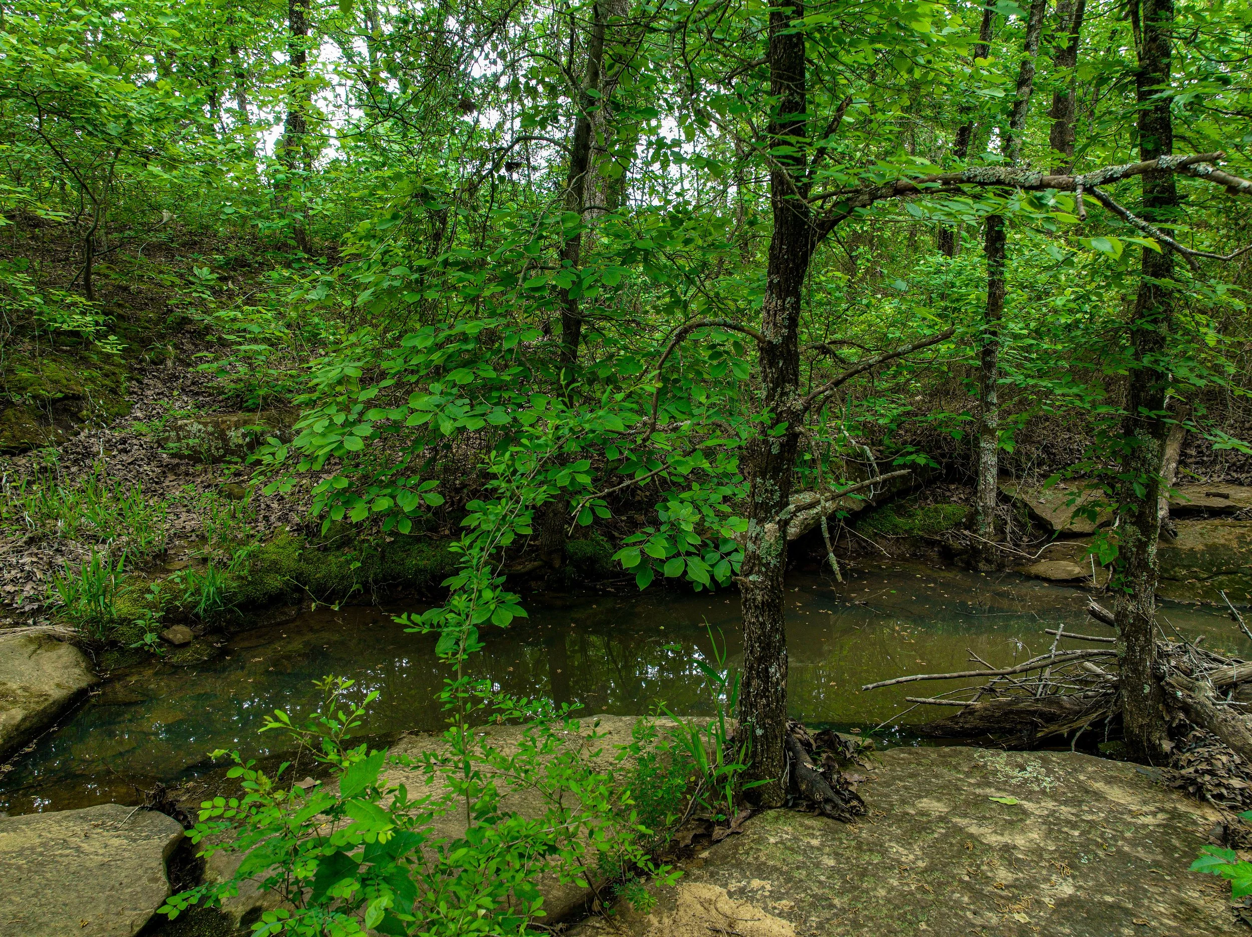 dji_fly_20260424_005740_754_1777301970908_photo 2.jpg