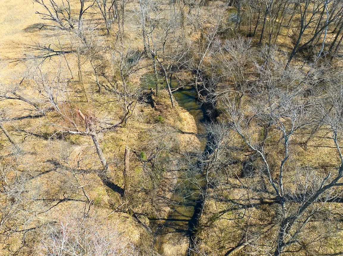 An aerial view of a wooded area with many leafless trees and a narrow winding stream flowing through the landscape.
