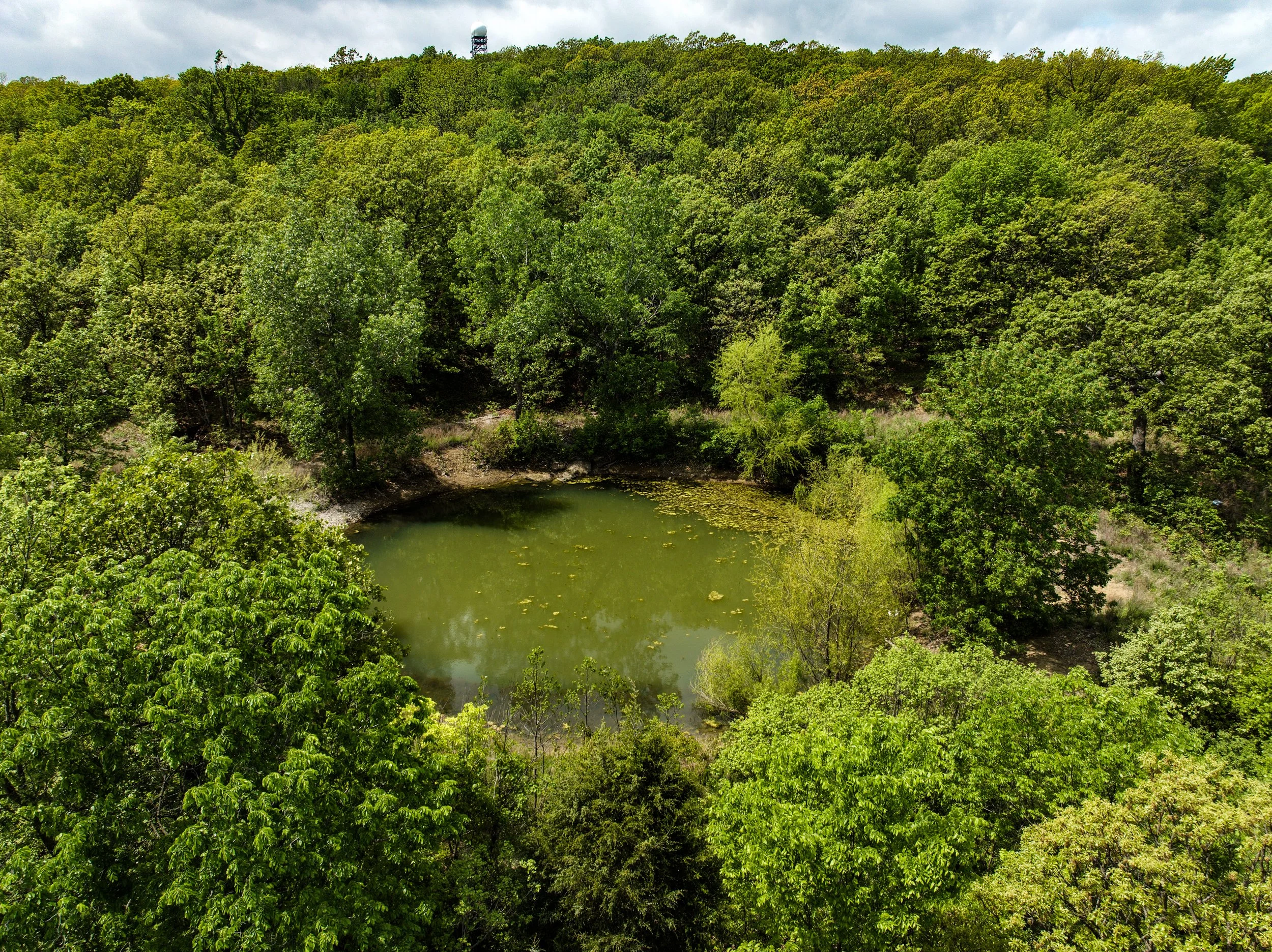 dji_fly_20260415_014730_656_1776284165585_photo 2.jpg