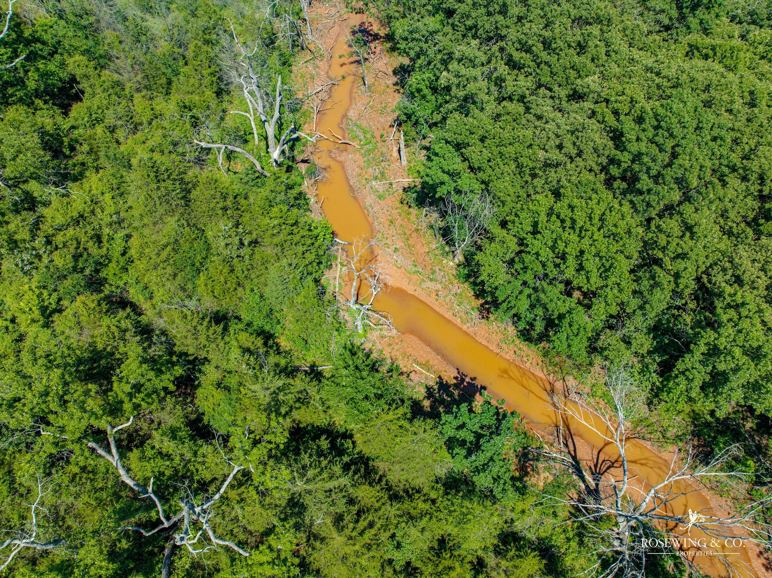 dji_fly_20260529_041908_892_1780419793495_photo.jpg