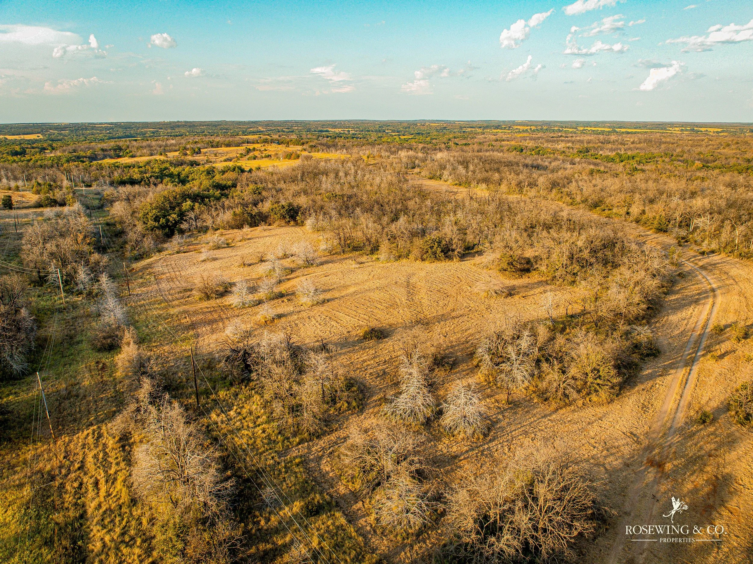 dji_fly_20260910_075402_990_1789057170221_photo.jpeg
