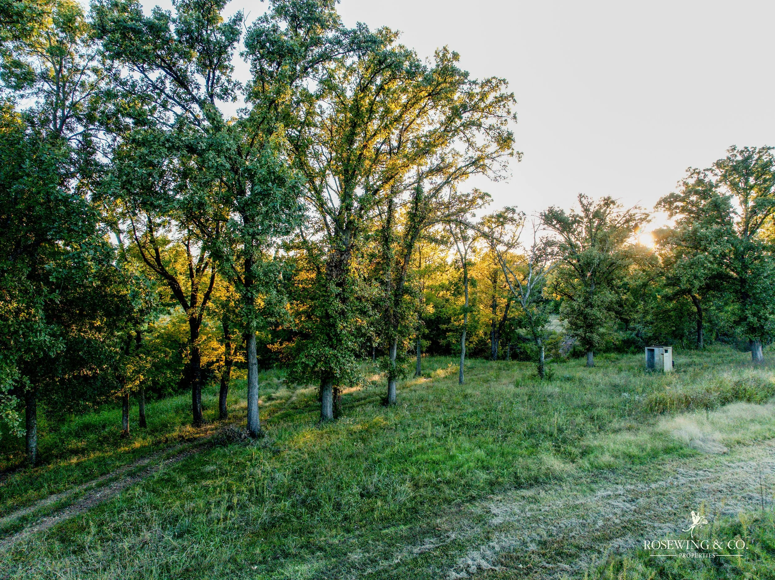 dji_fly_20261009_073030_152_1791929316882_photo.jpeg