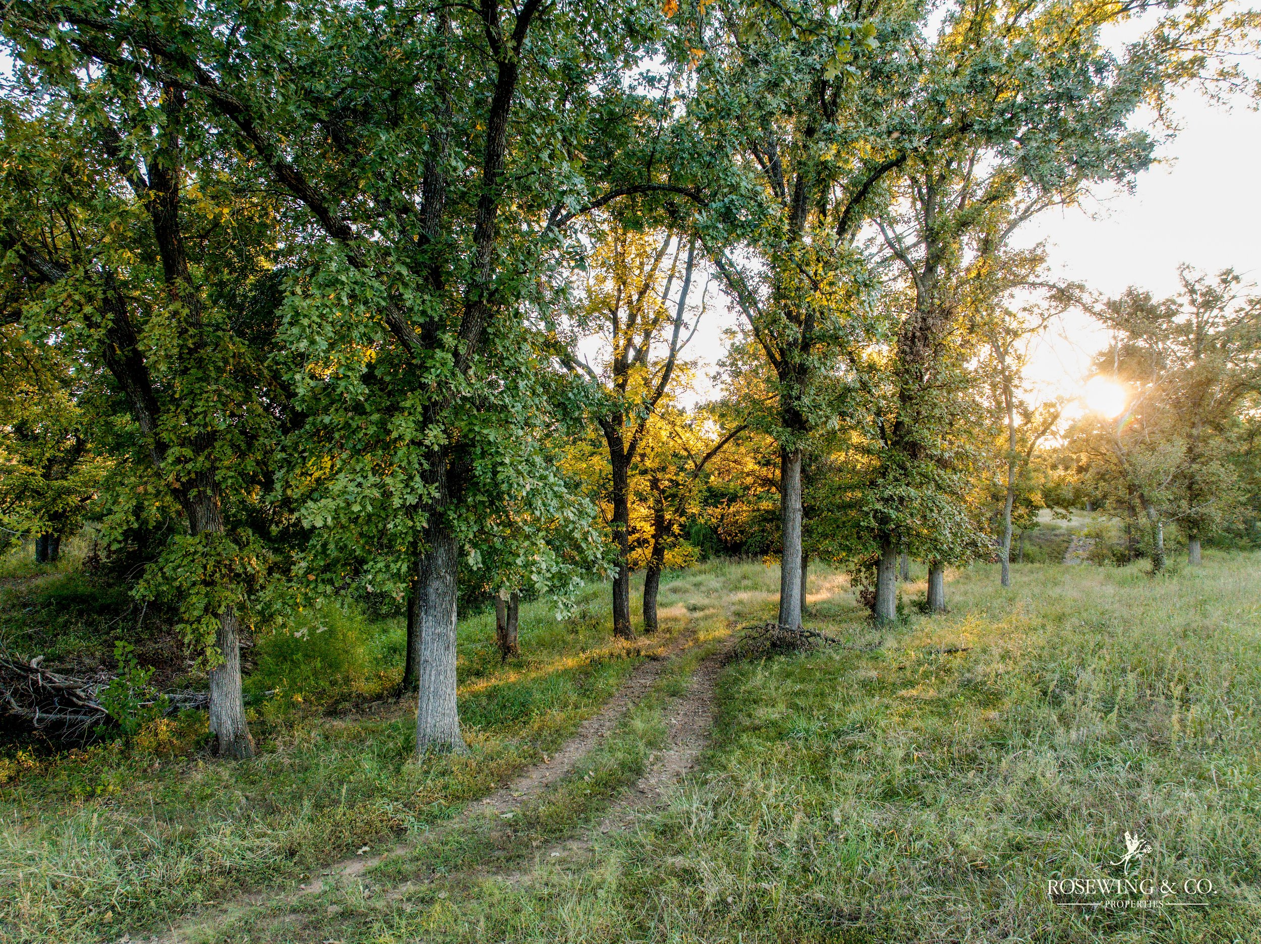 dji_fly_20261009_073054_155_1791929315638_photo.jpeg