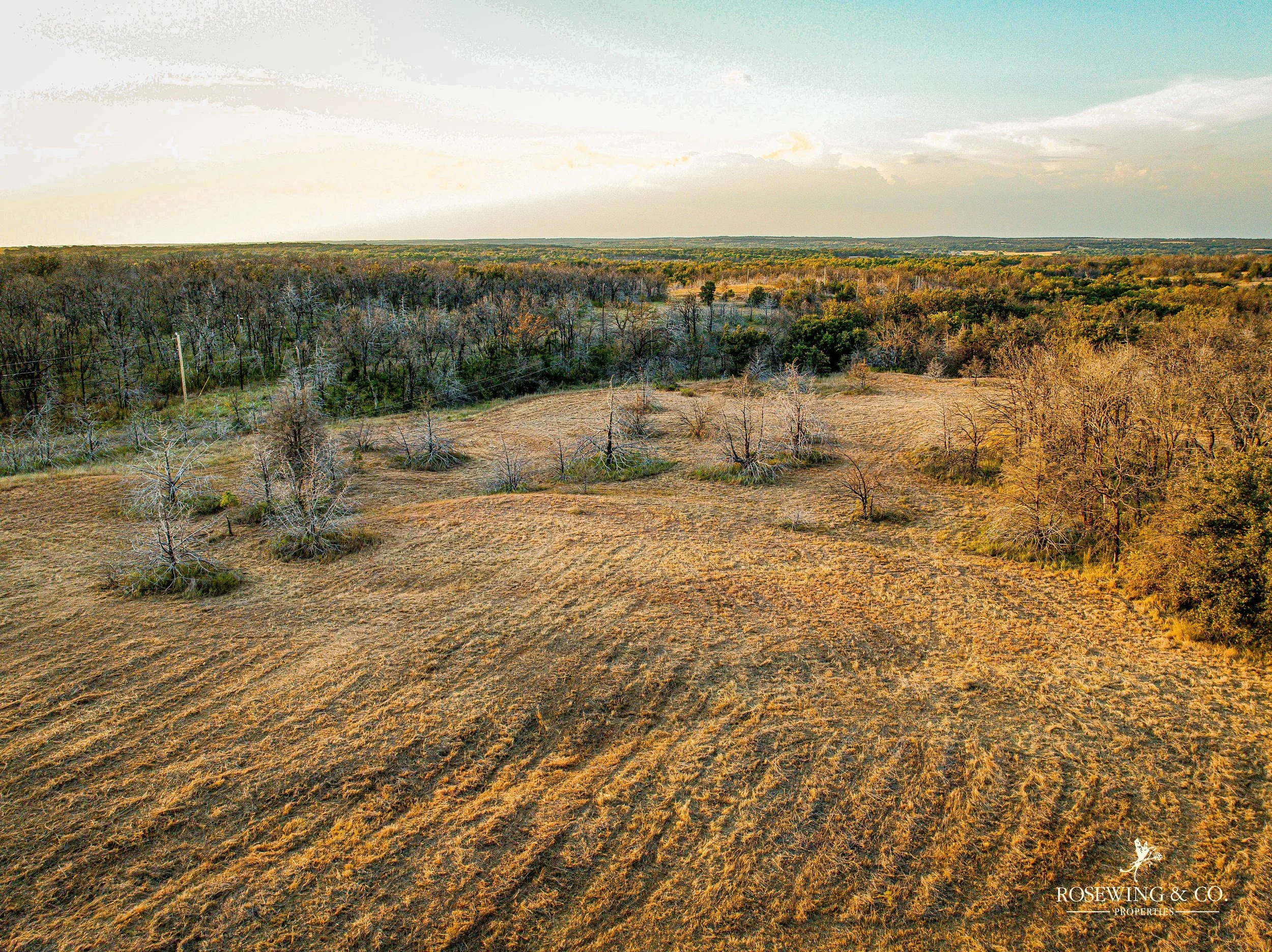 dji_fly_20260910_081648_35_1789057142013_photo.jpeg