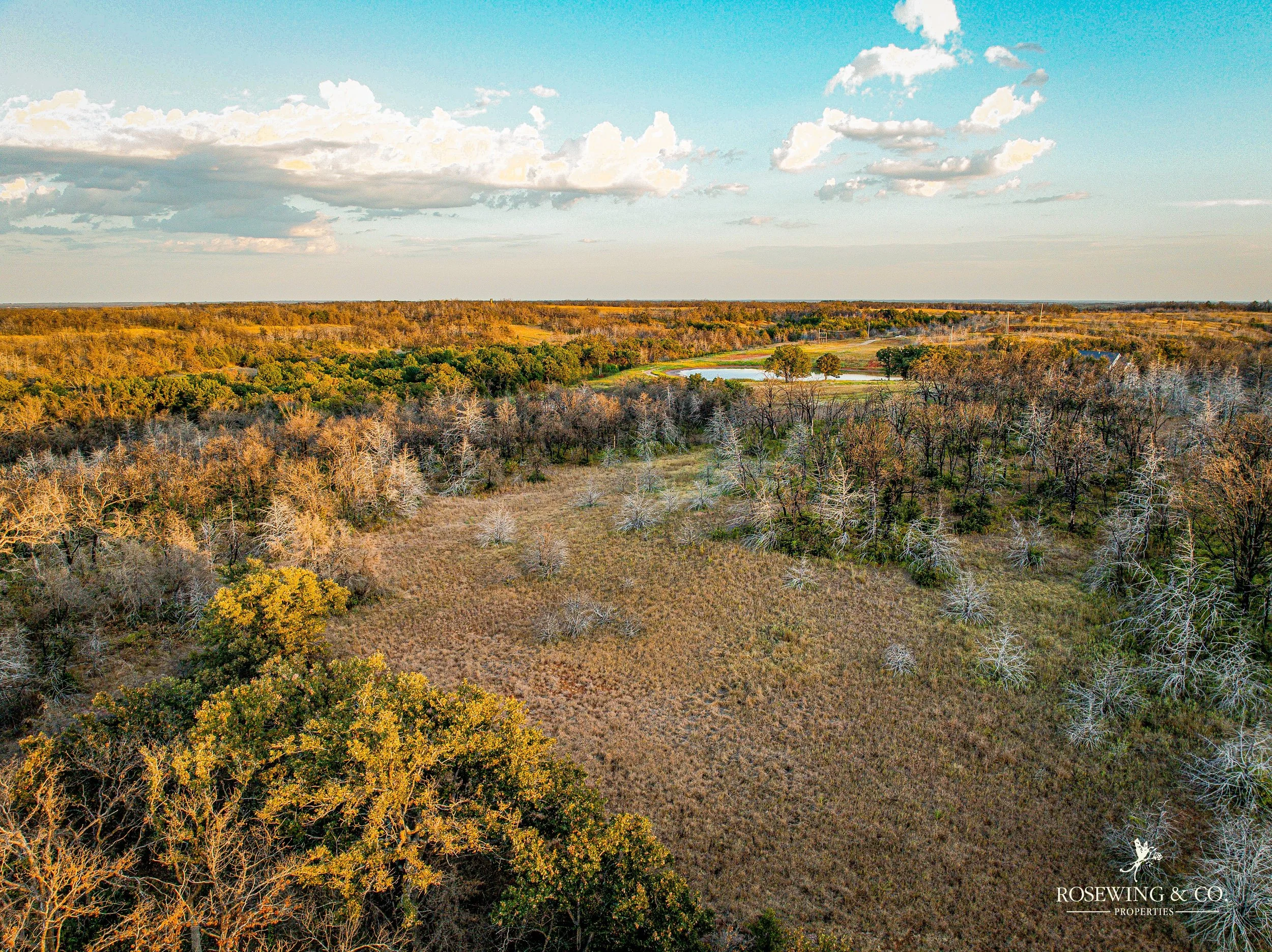 dji_fly_20260910_082030_50_1789057132765_photo.jpeg