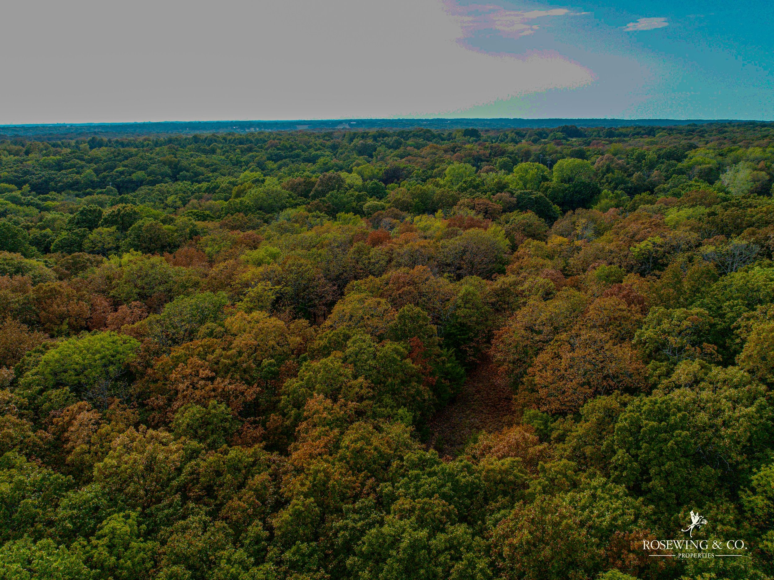 dji_fly_20260827_064838_979_1788286267211_photo.jpeg