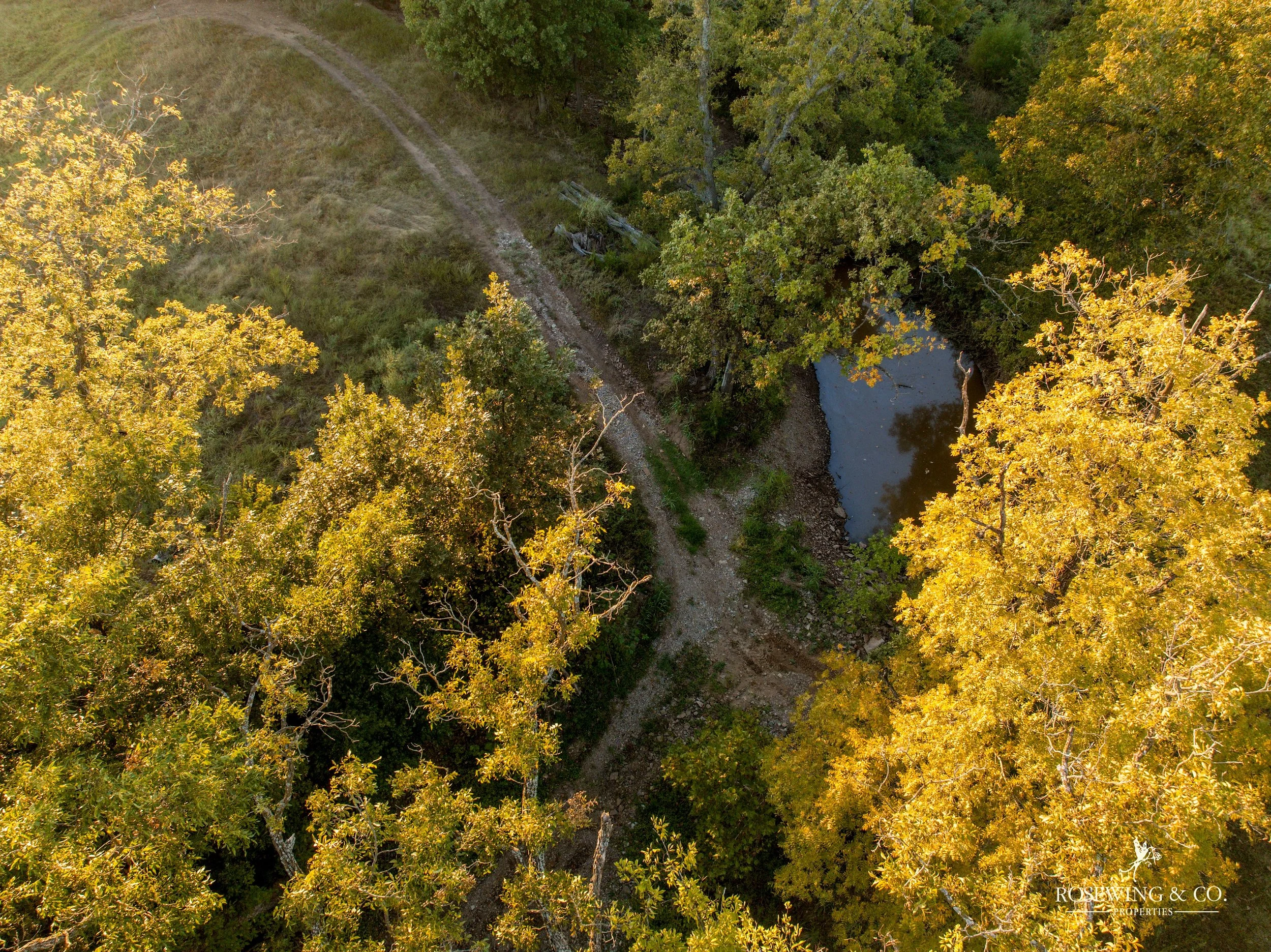 dji_fly_20261009_073120_156_1791929314973_photo.jpeg