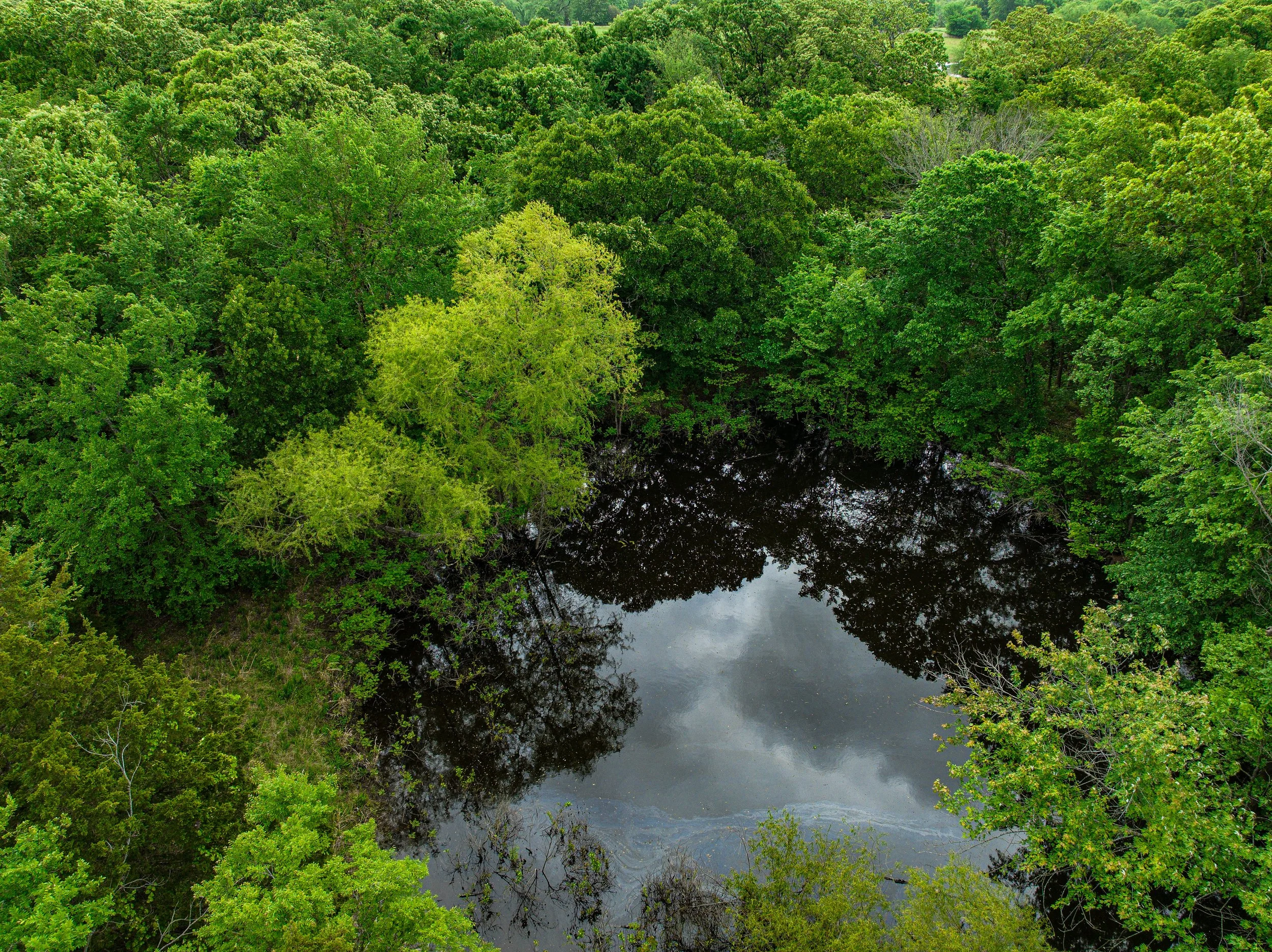 dji_fly_20260424_003704_715_1777302022054_photo.jpg