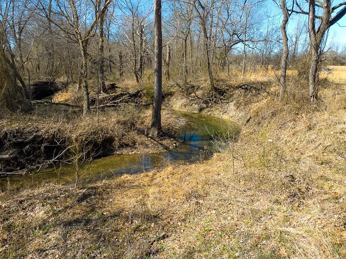 A small stream running through a dry, grassy area with leafless trees and a clear blue sky.