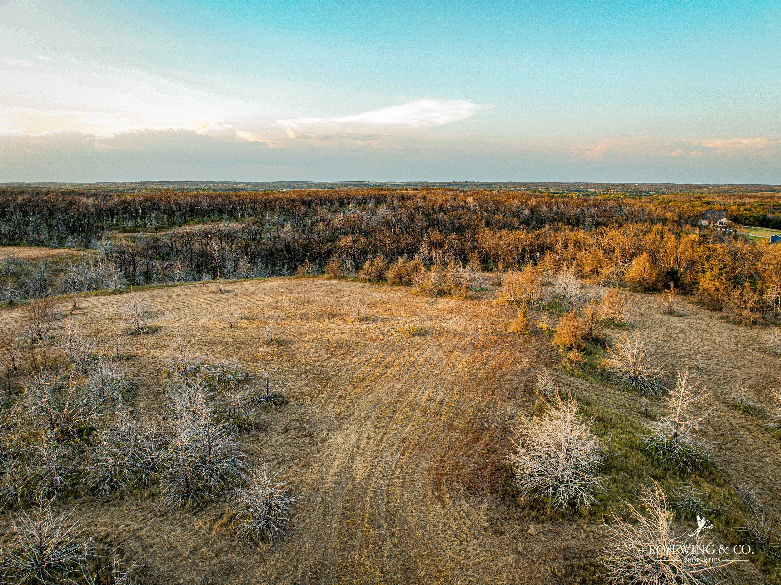 dji_fly_20260910_082312_56_1789057127390_photo.jpeg