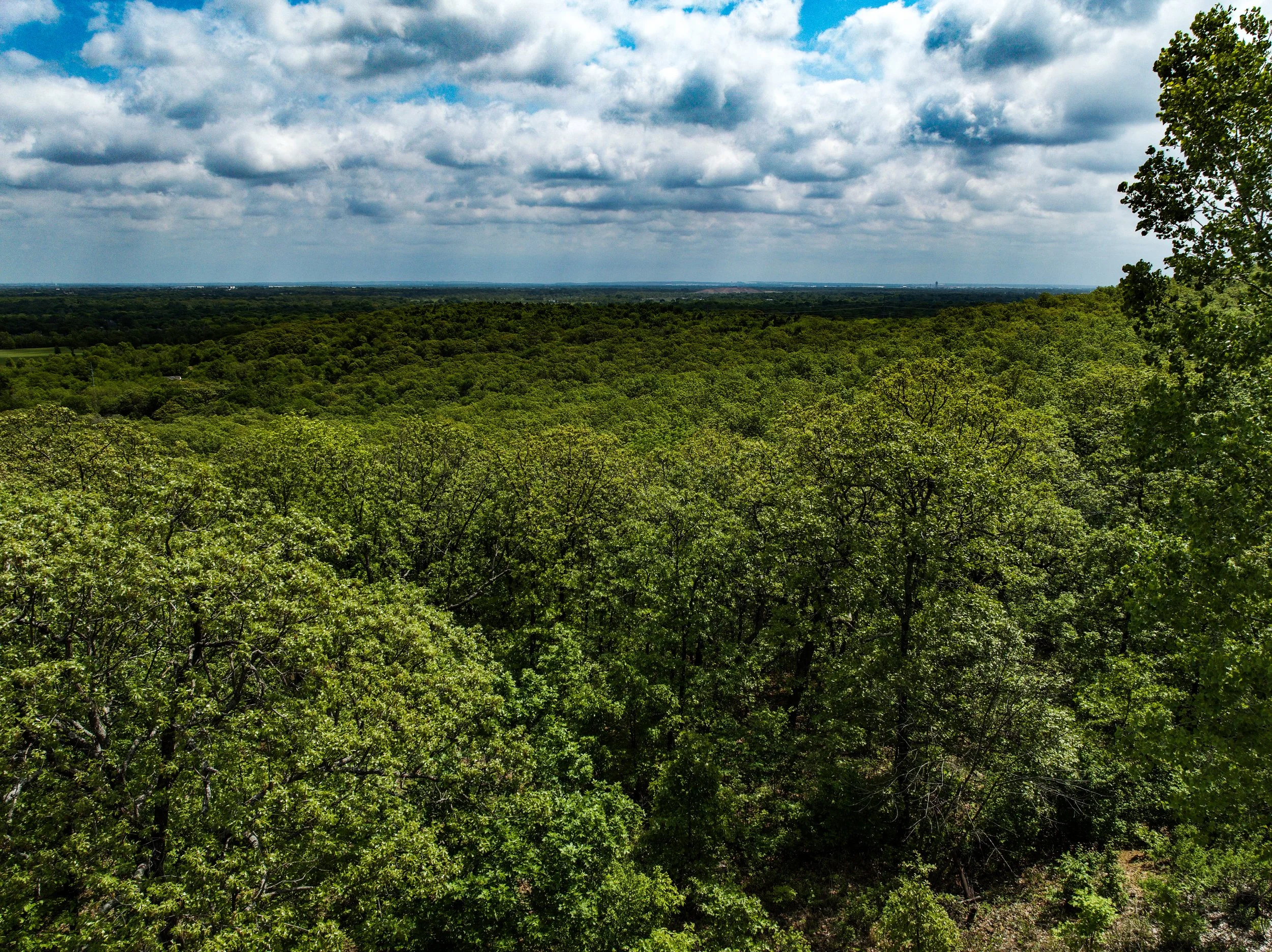dji_fly_20260415_015850_678_1776284145418_photo.jpg