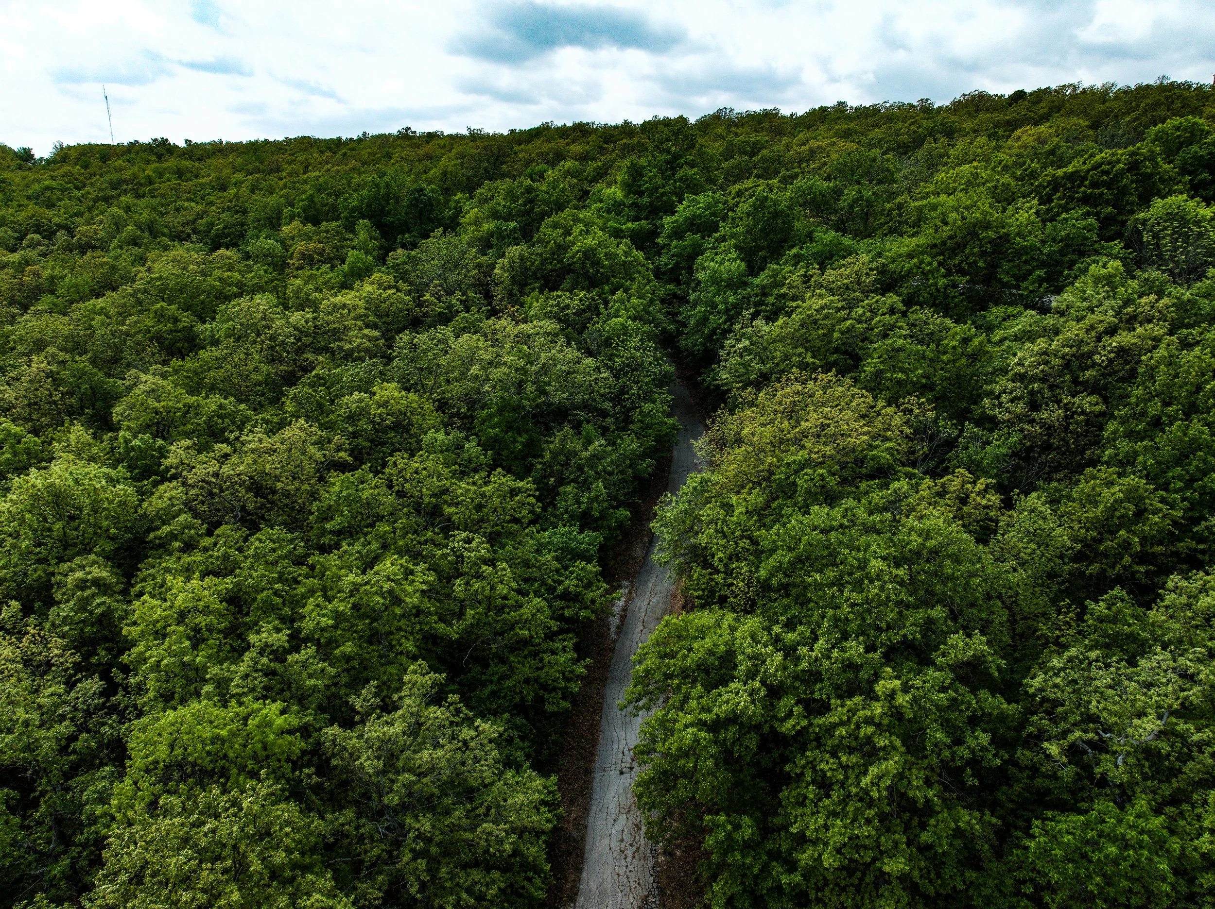 dji_fly_20260415_020038_684_1776284140704_photo.jpg