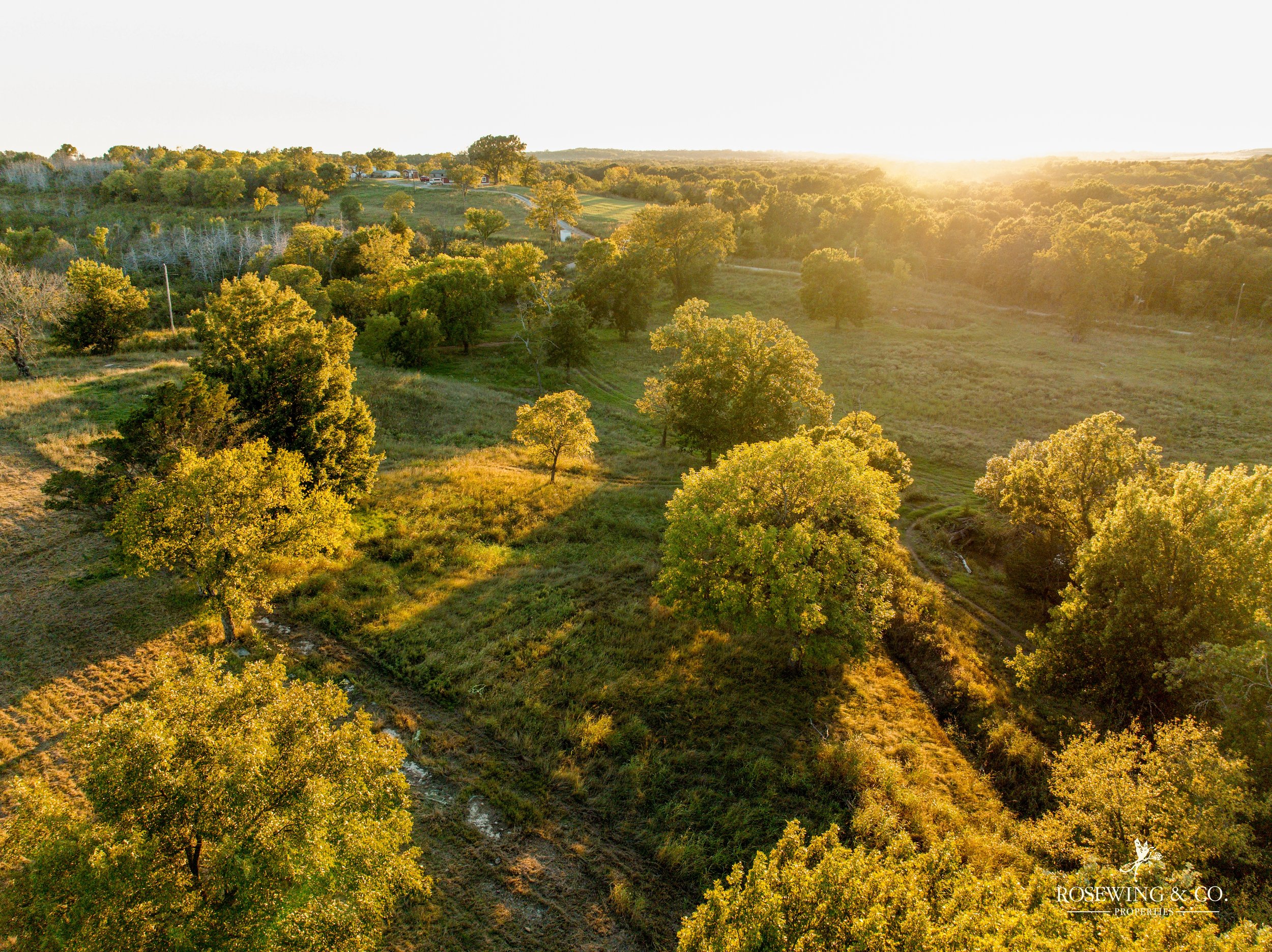 dji_fly_20261009_073554_176_1791929302116_photo.jpeg