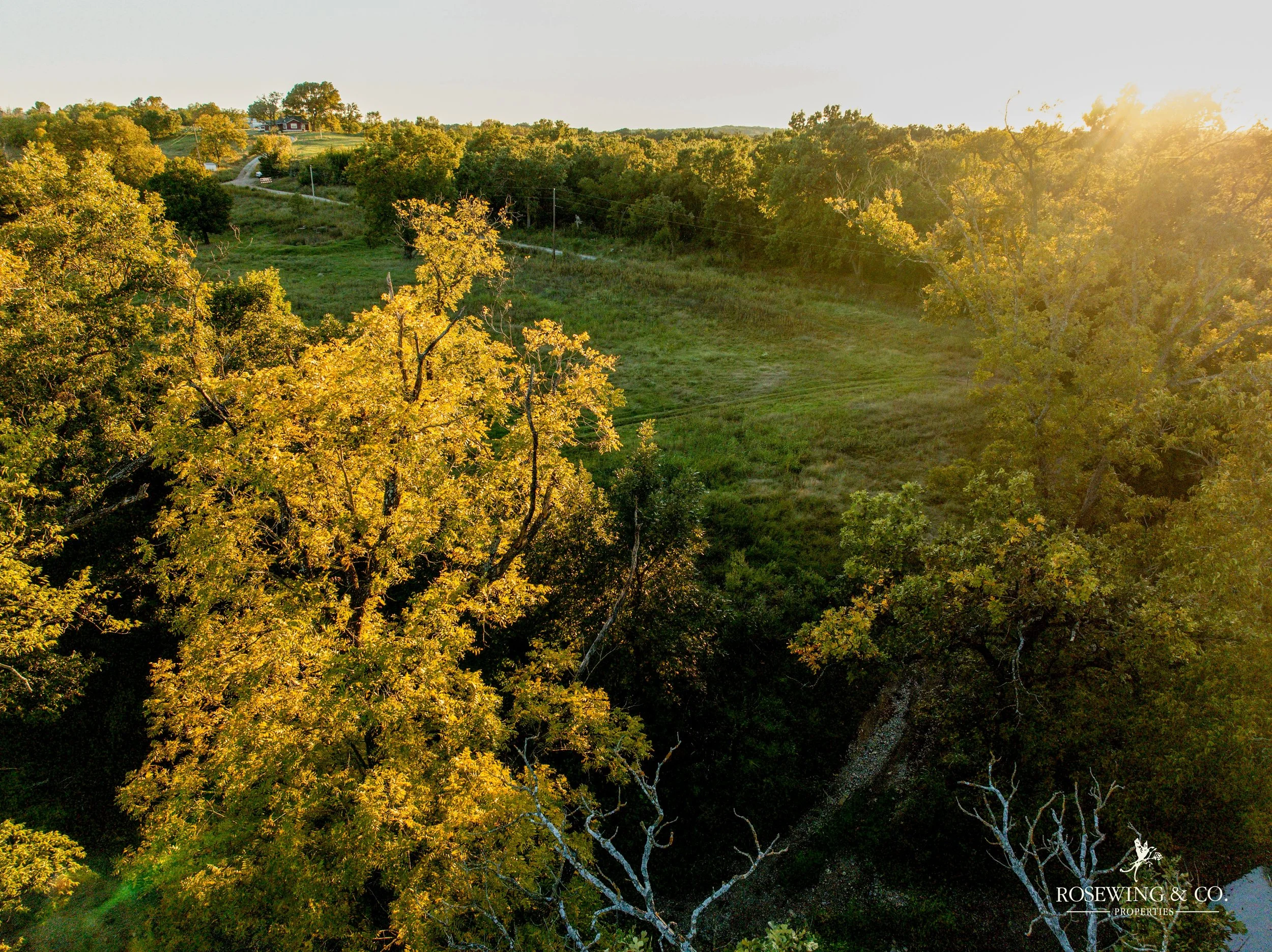 dji_fly_20261009_073142_157_1791929314215_photo.jpeg