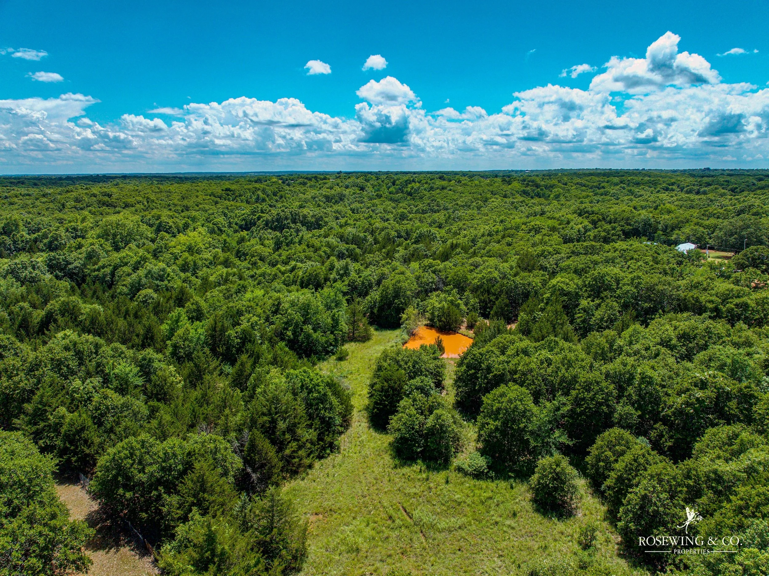 dji_fly_20260529_042000_877_1780419791015_photo.jpg