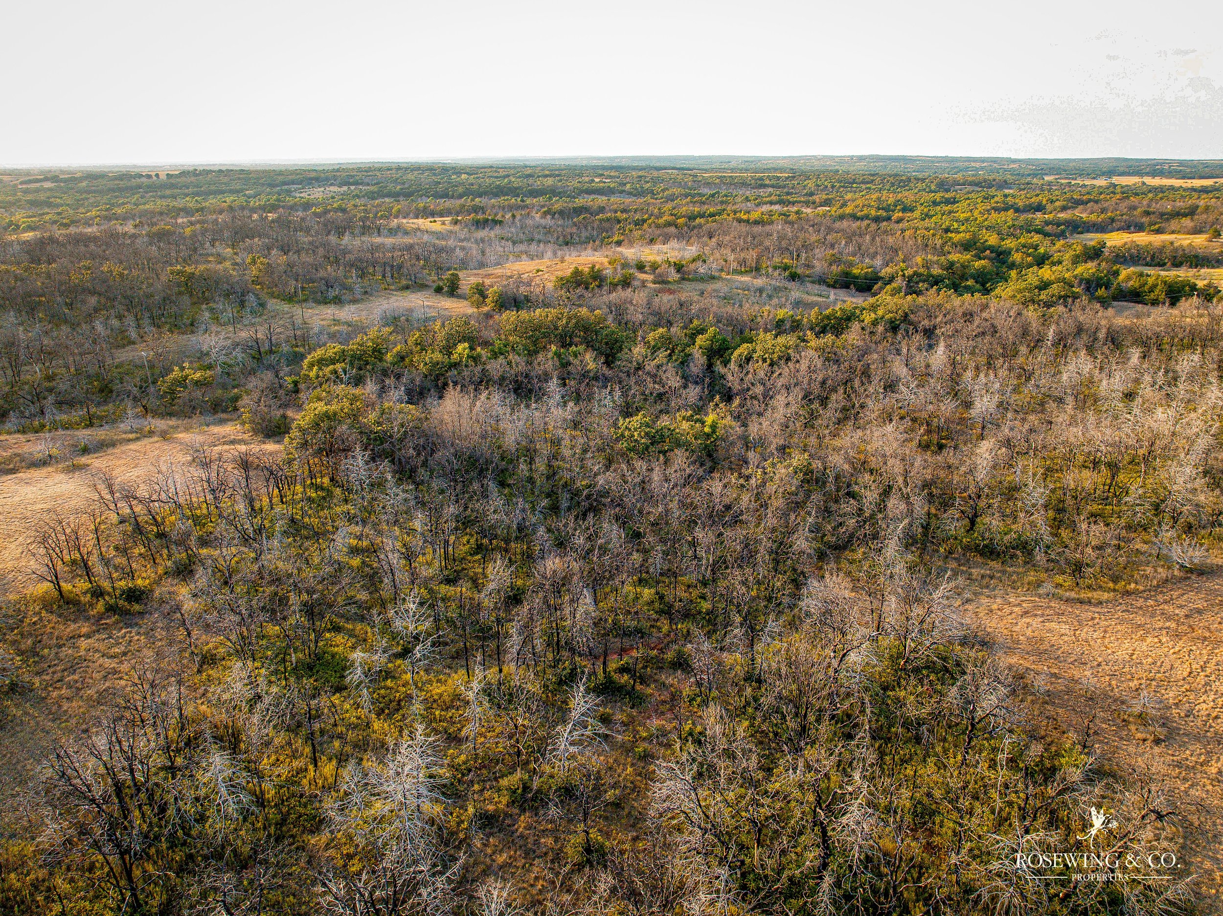 dji_fly_20260910_075602_996_1789057167016_photo.jpeg