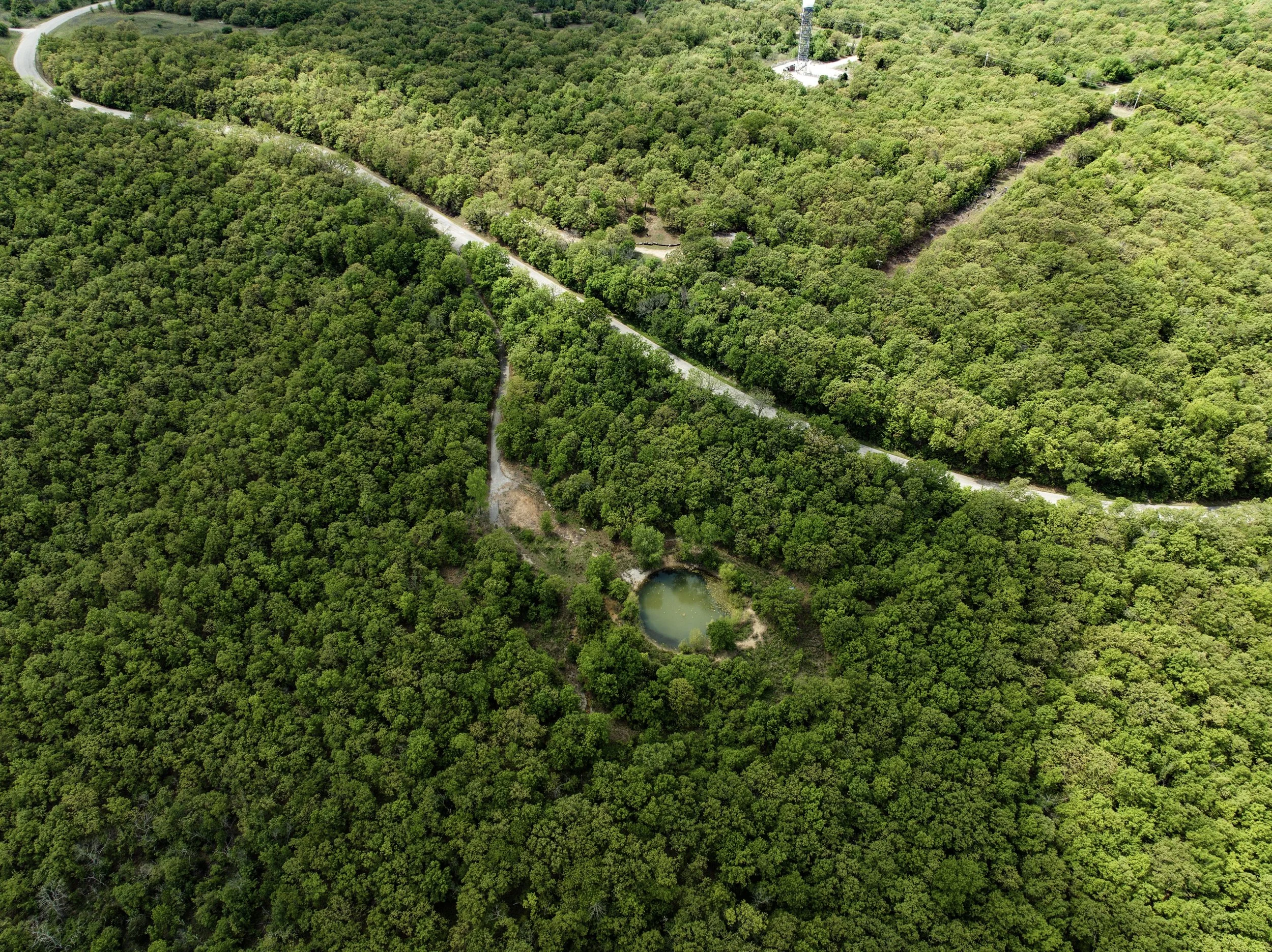 dji_fly_20260415_015418_670_1776284152740_photo.jpg