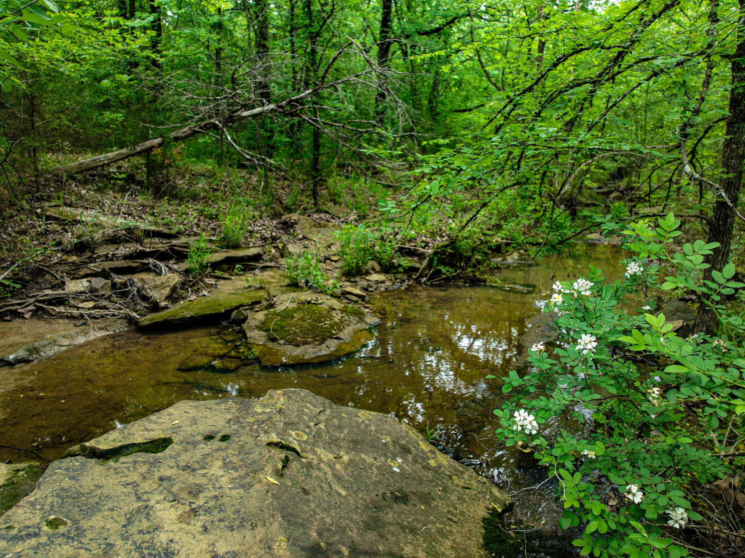 dji_fly_20260424_005406_742_1777301978136_photo 2.jpg