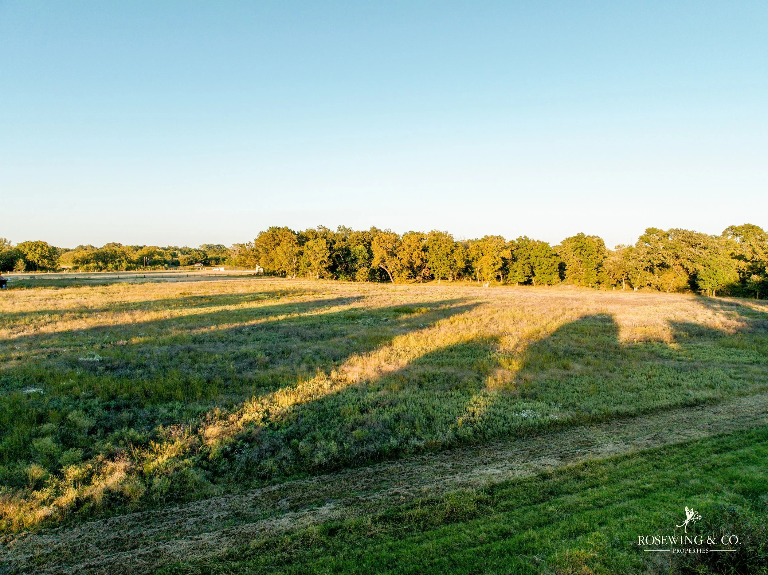 dji_fly_20261009_072950_150_1791929318094_photo.jpeg