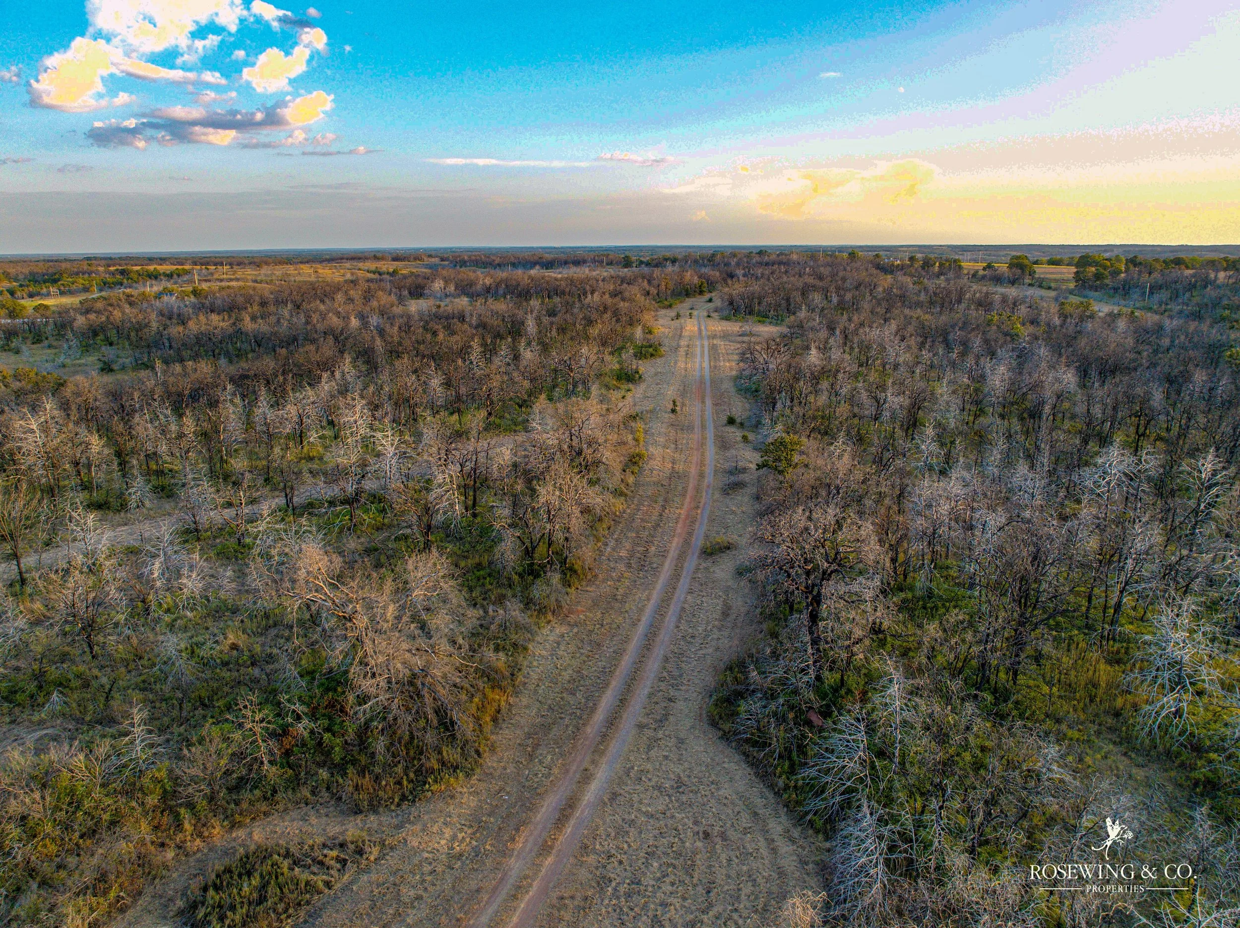 dji_fly_20260910_081834_42_1789057137399_photo.jpeg