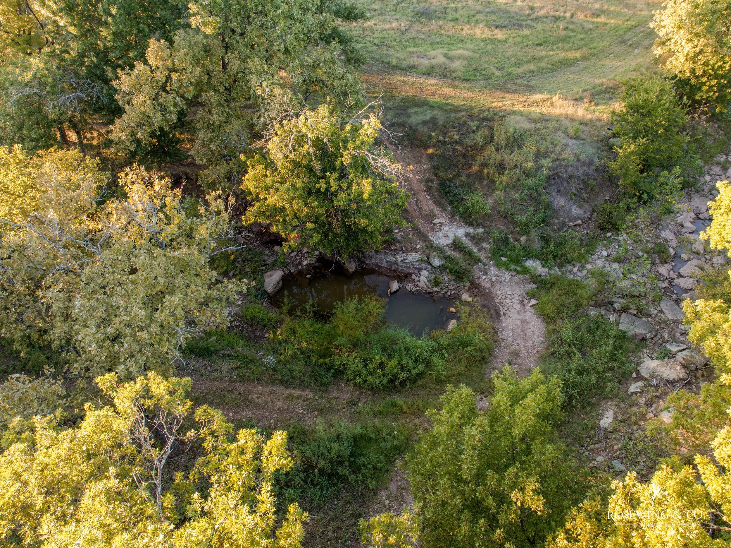 dji_fly_20261009_071720_111_1791929341917_photo.jpeg