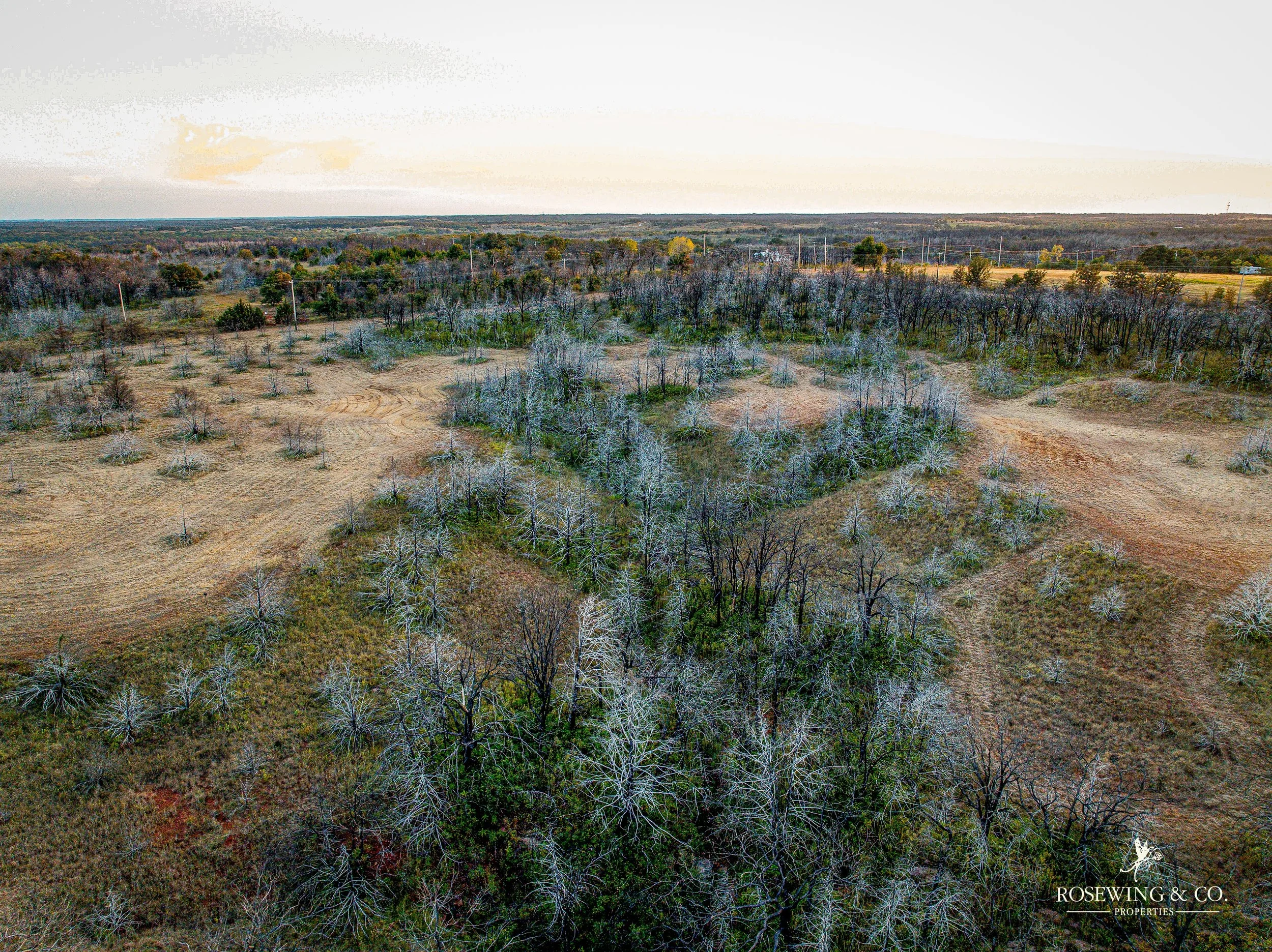 dji_fly_20260910_083052_86_1789057109790_photo.jpeg