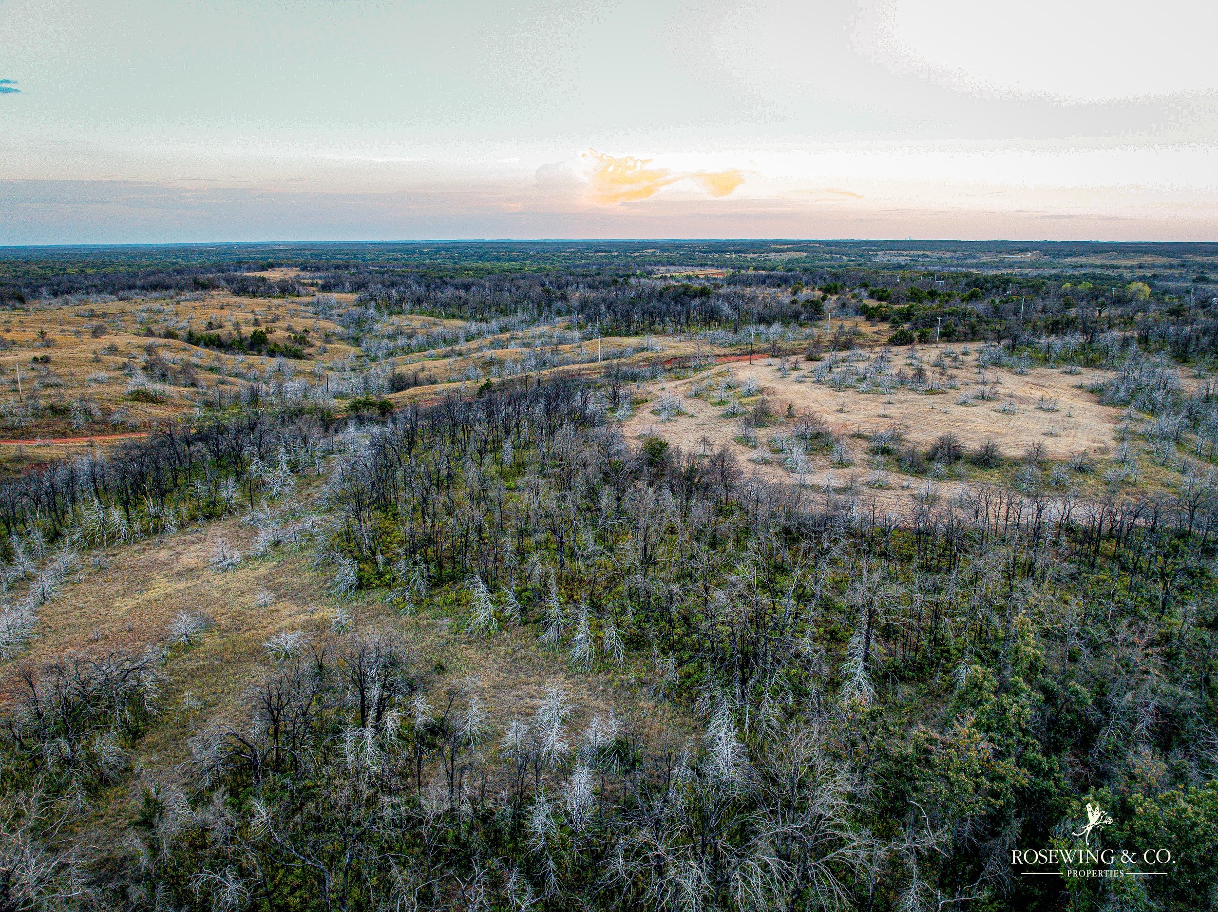 dji_fly_20260910_083430_93_1789057105832_photo.jpeg