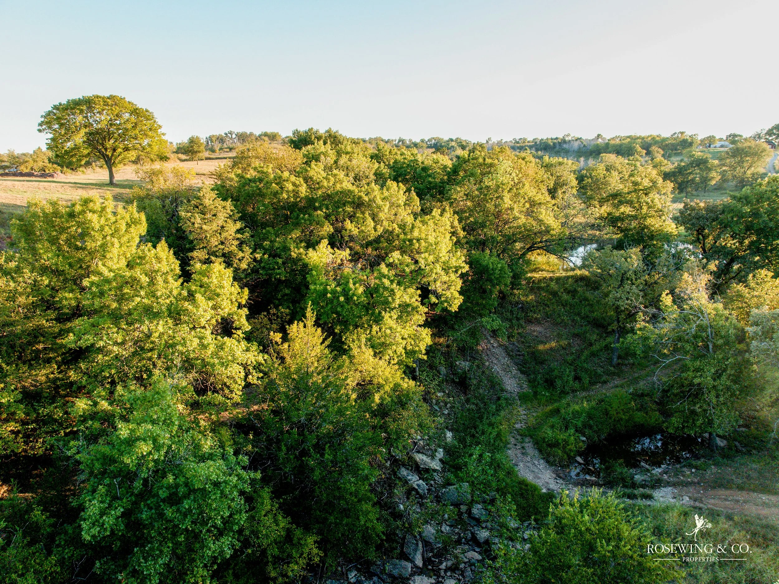 dji_fly_20261009_071840_116_1791929339490_photo.jpeg