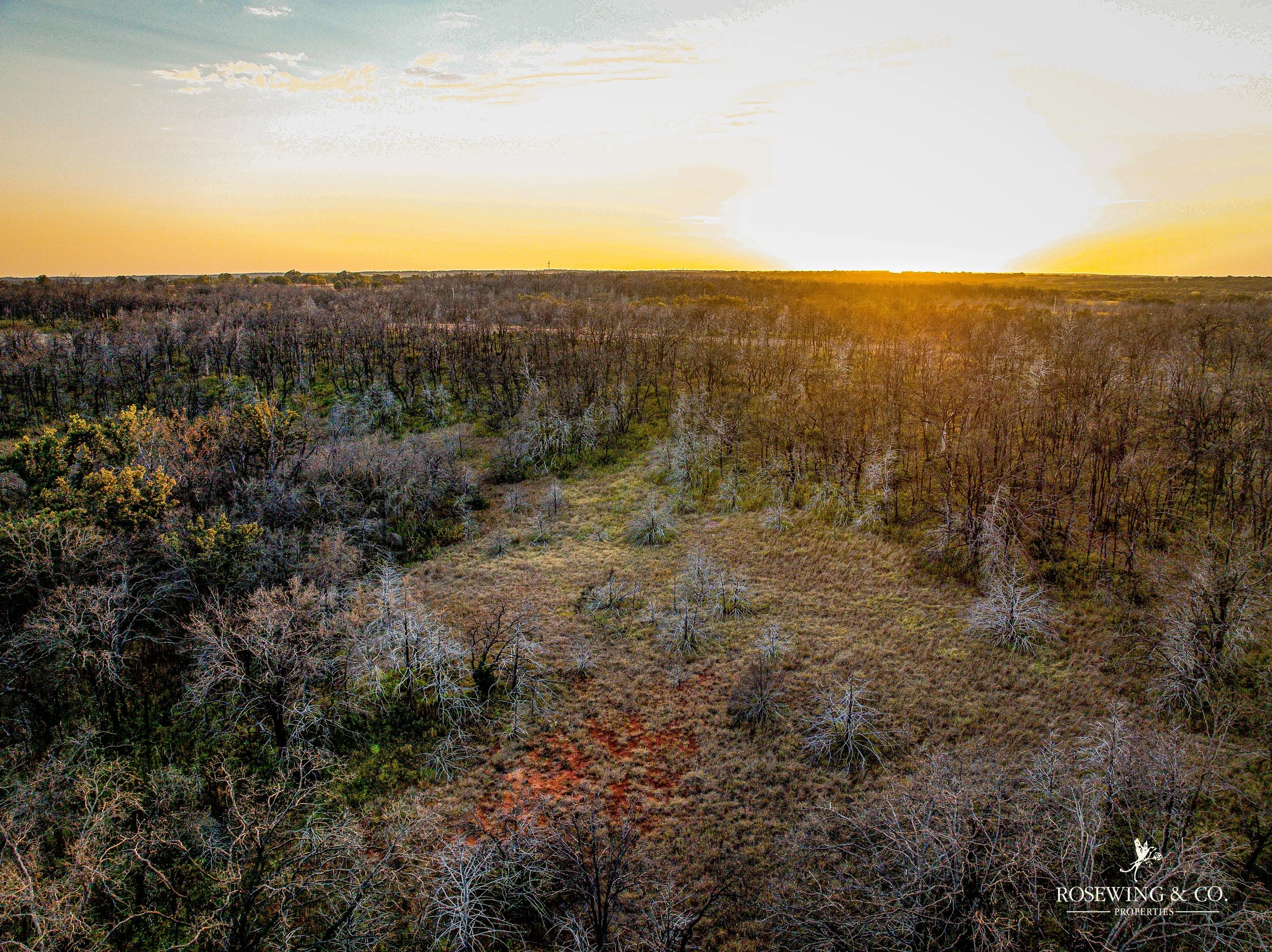 dji_fly_20260910_081952_48_1789057134700_photo.jpeg