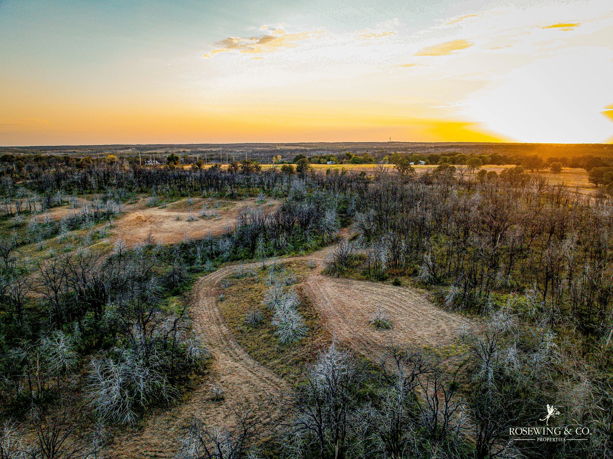dji_fly_20260910_082826_76_1789057115450_photo.jpeg