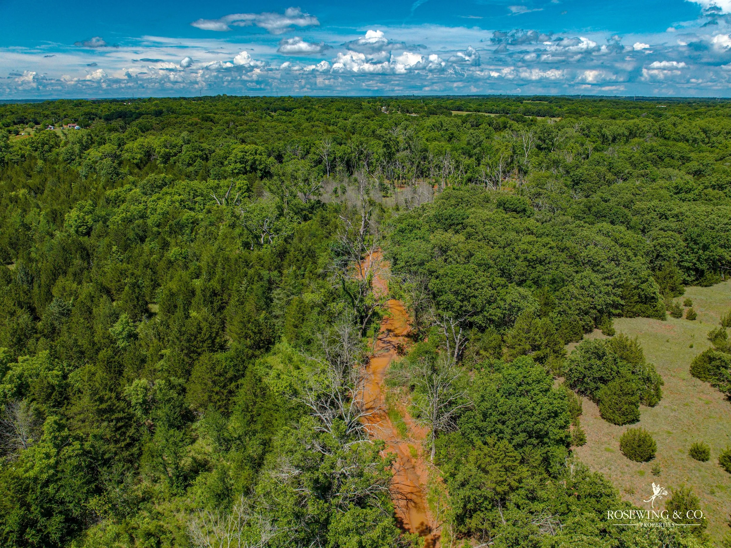 dji_fly_20260529_042116_894_1780419791621_photo.jpg