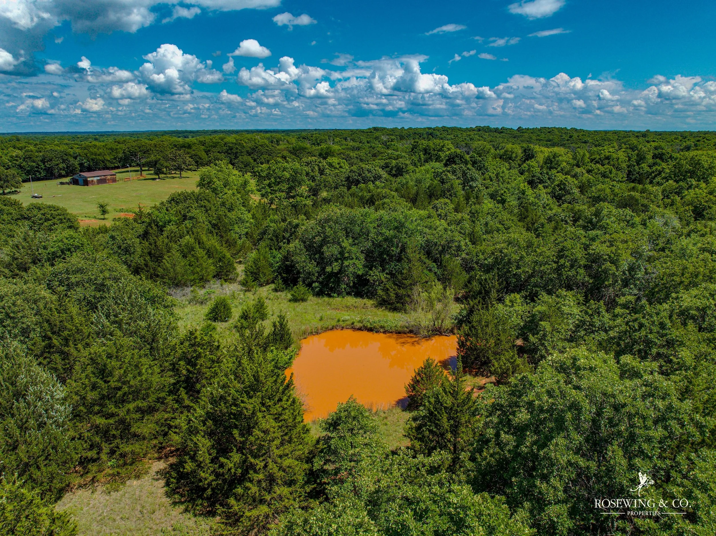 dji_fly_20260529_041412_886_1780419801528_photo.jpg
