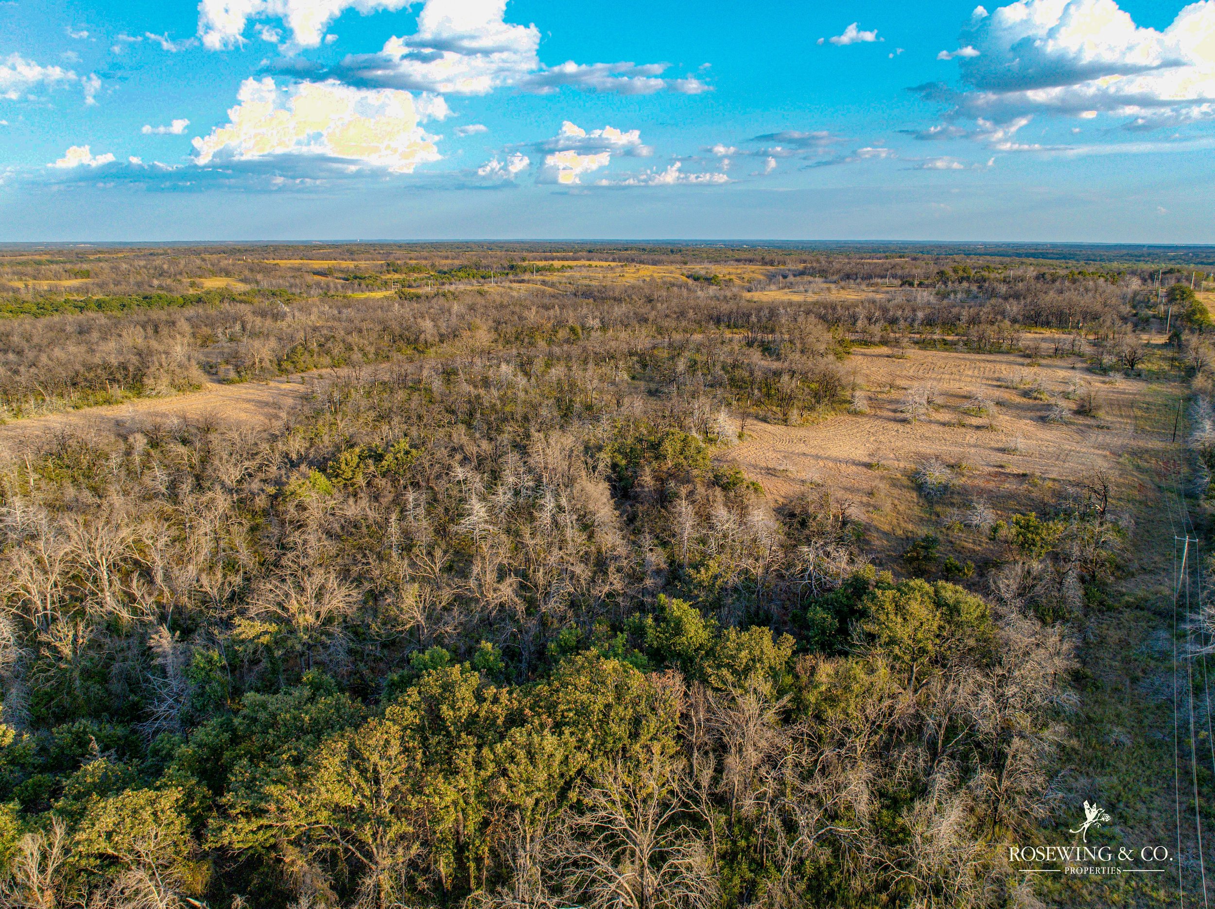 dji_fly_20260910_075636_997_1789057166394_photo.jpeg