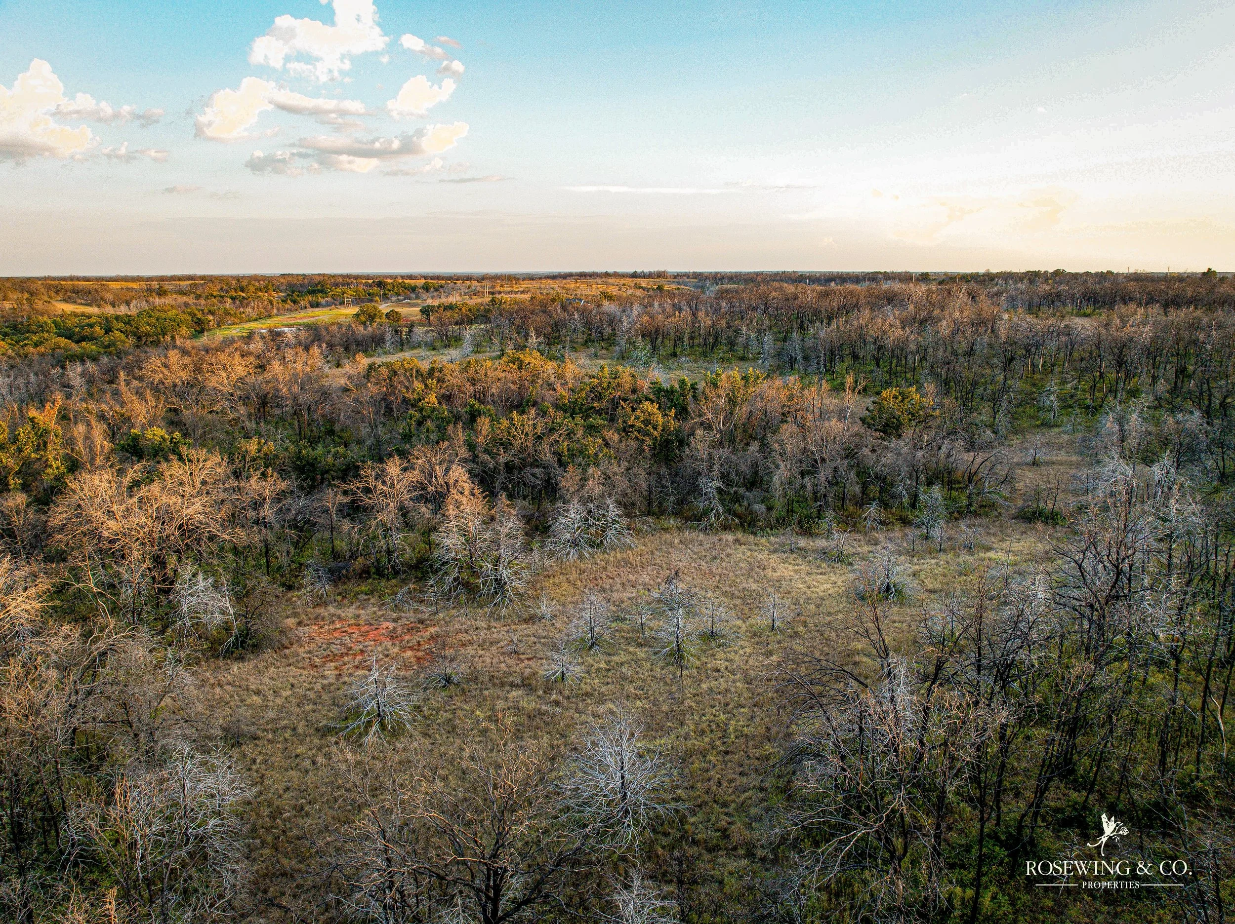 dji_fly_20260910_081942_47_1789057134054_photo.jpeg
