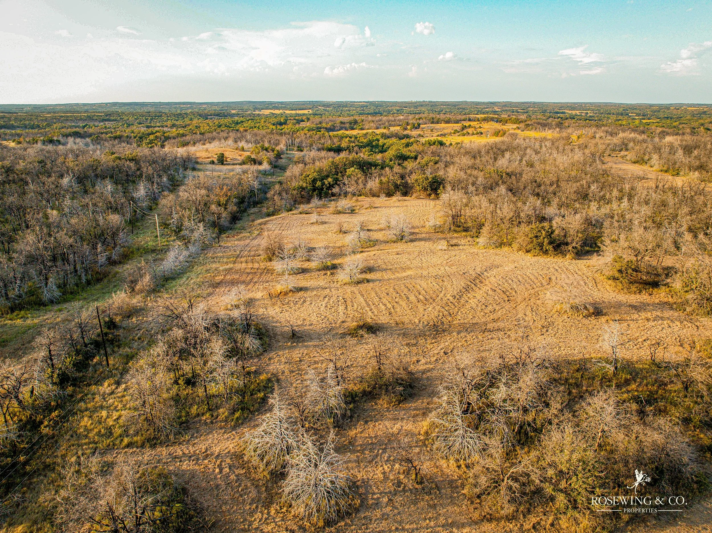 dji_fly_20260910_075434_991_1789057170891_photo.jpeg