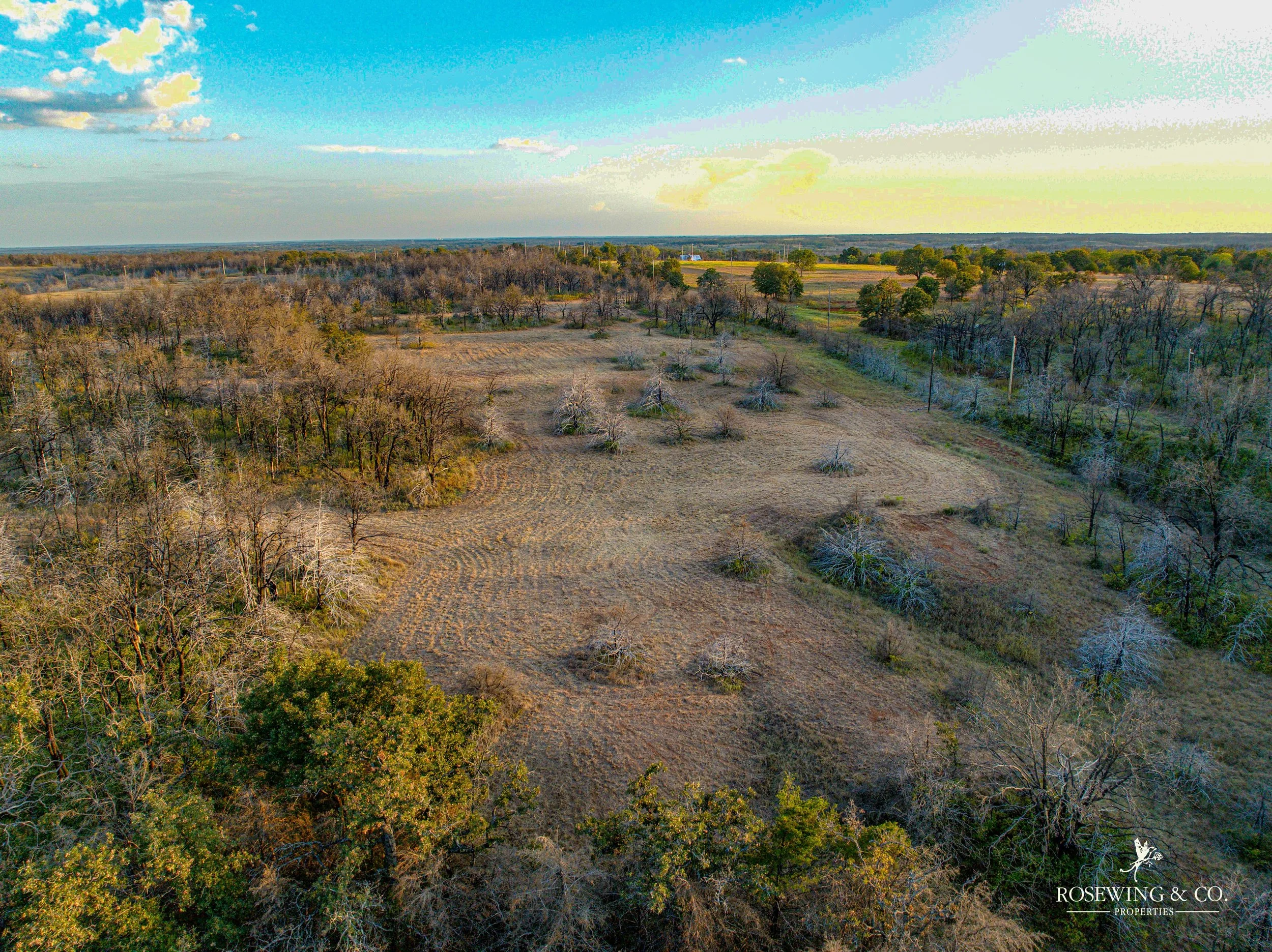 dji_fly_20260910_081720_37_1789057139952_photo.jpeg
