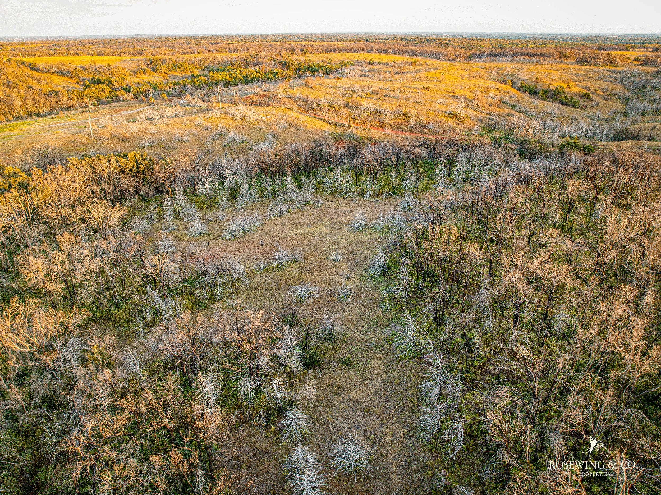 dji_fly_20260910_082238_54_1789057131401_photo.jpeg