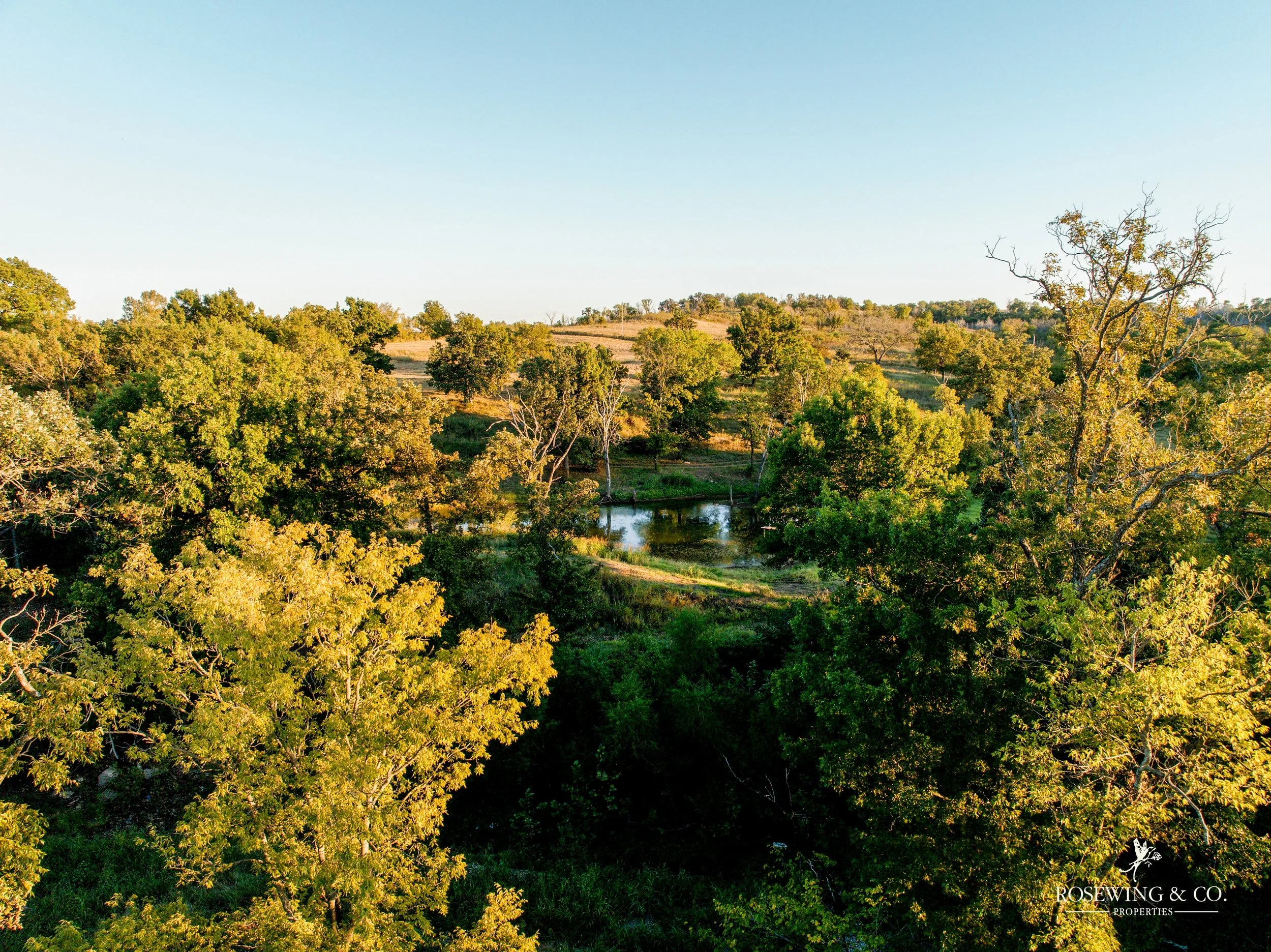 dji_fly_20261009_073148_158_1791929313646_photo.jpeg