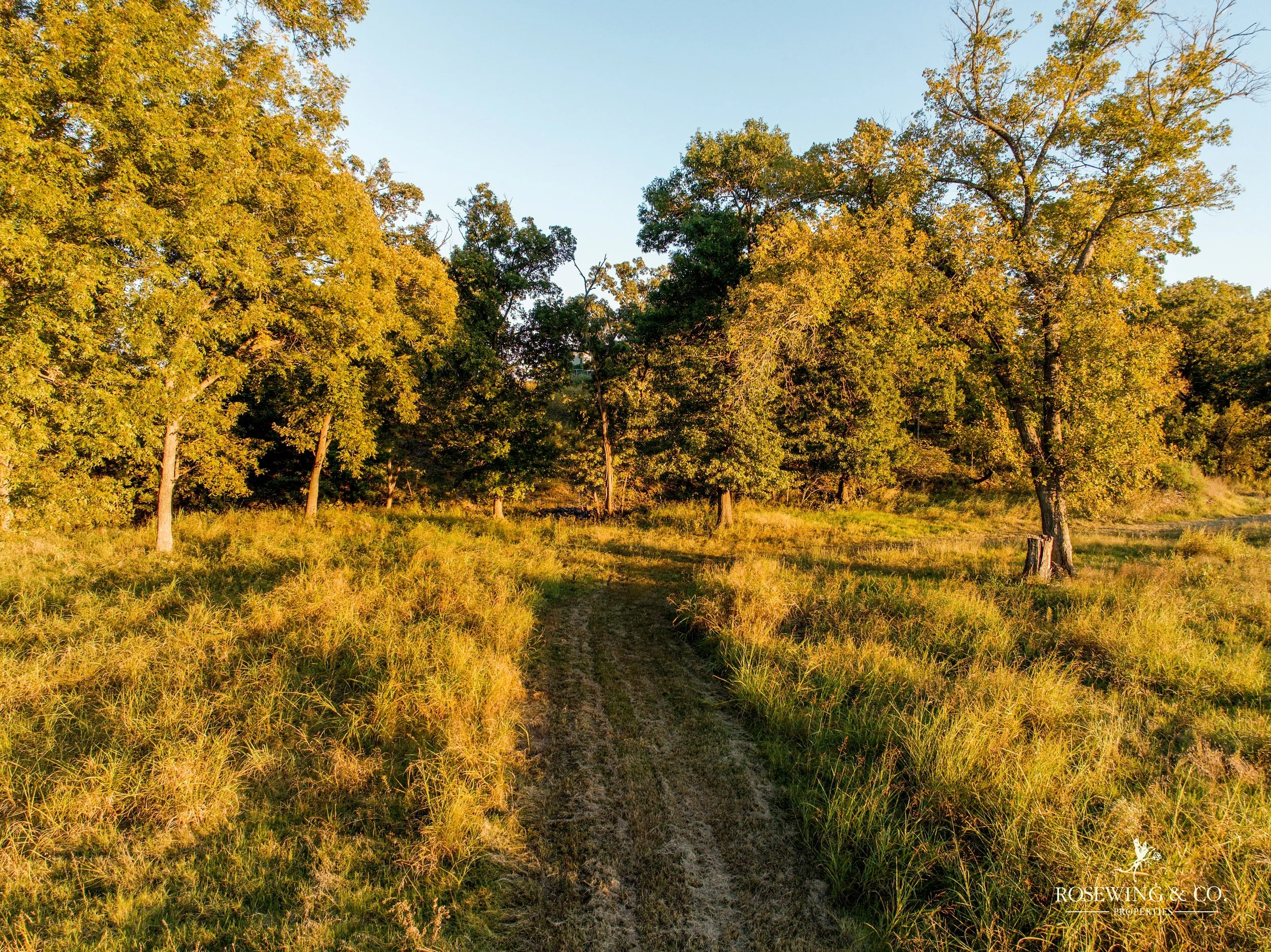 dji_fly_20261009_073336_165_1791929308901_photo.jpeg