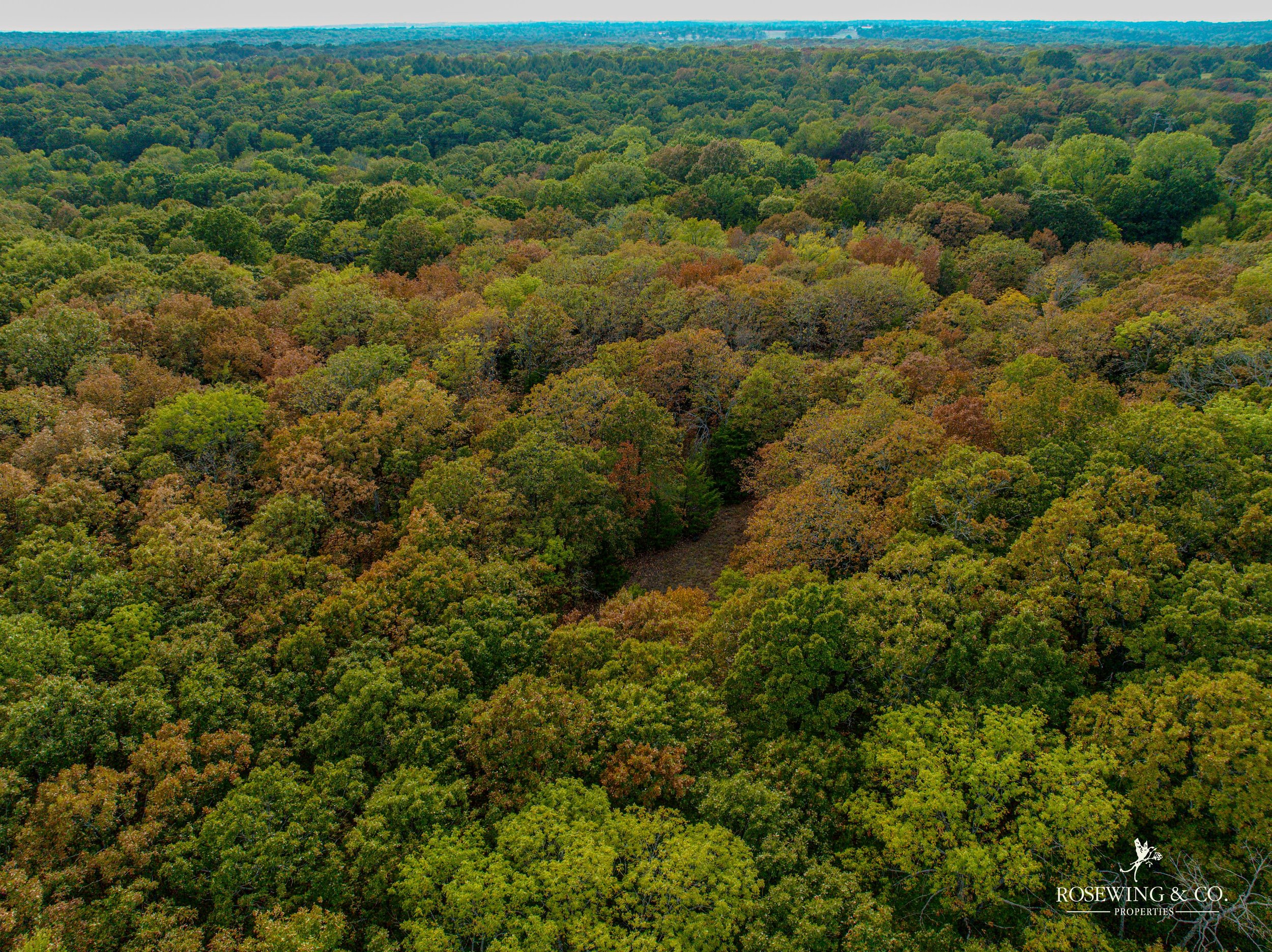 dji_fly_20260827_064824_978_1788286268015_photo.jpeg