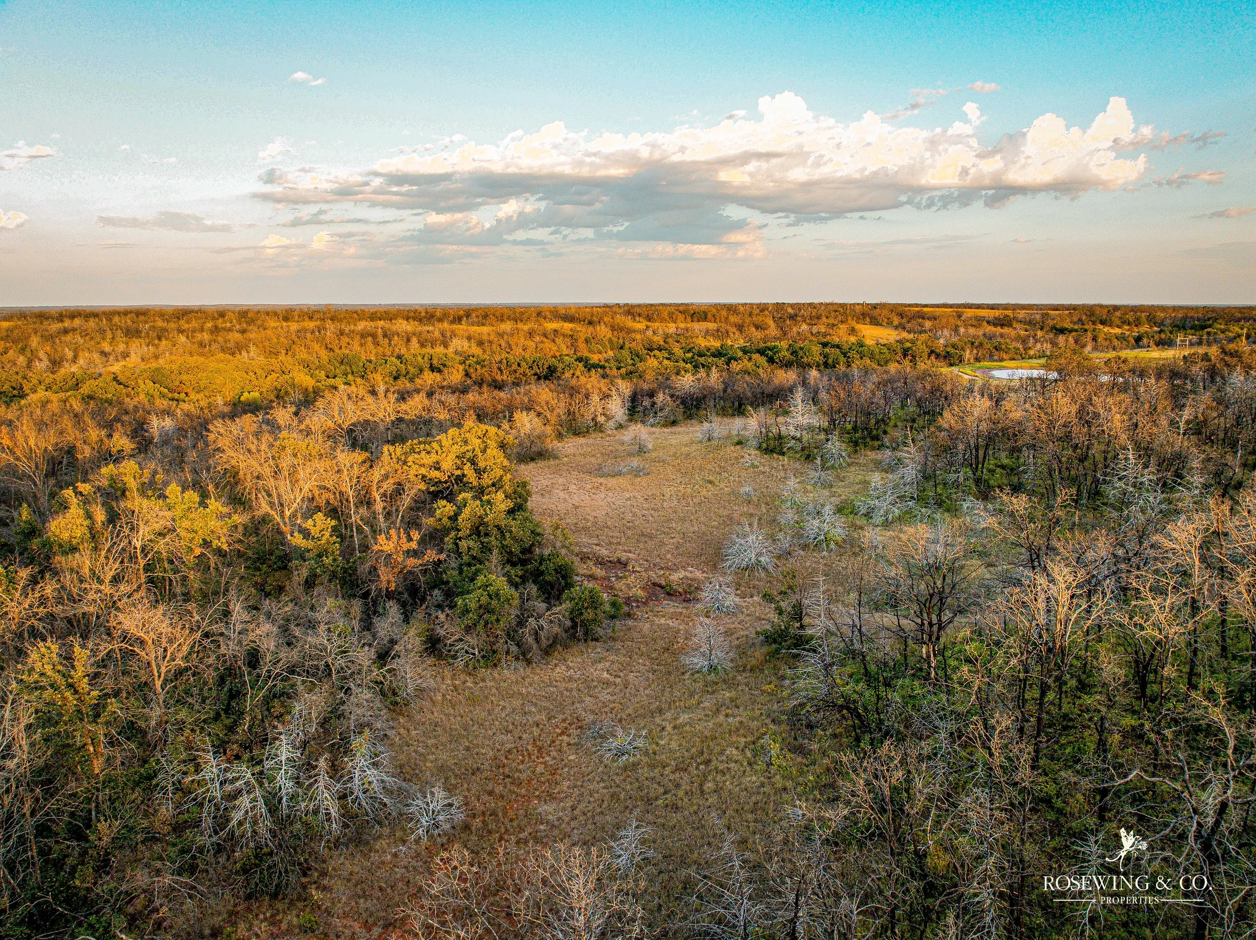 dji_fly_20260910_082018_49_1789057135373_photo.jpeg