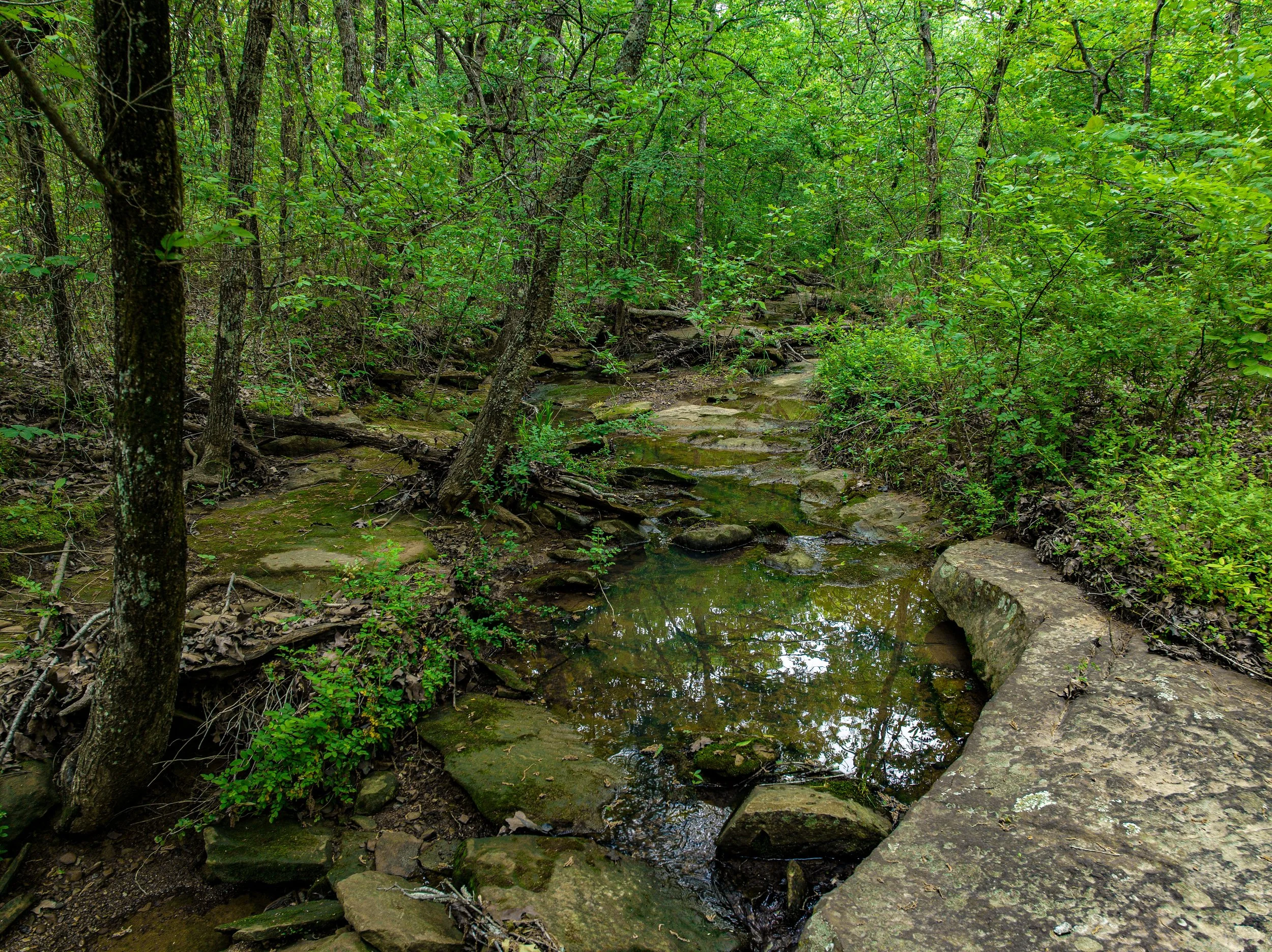 dji_fly_20260424_005852_759_1777301967607_photo 2.jpg