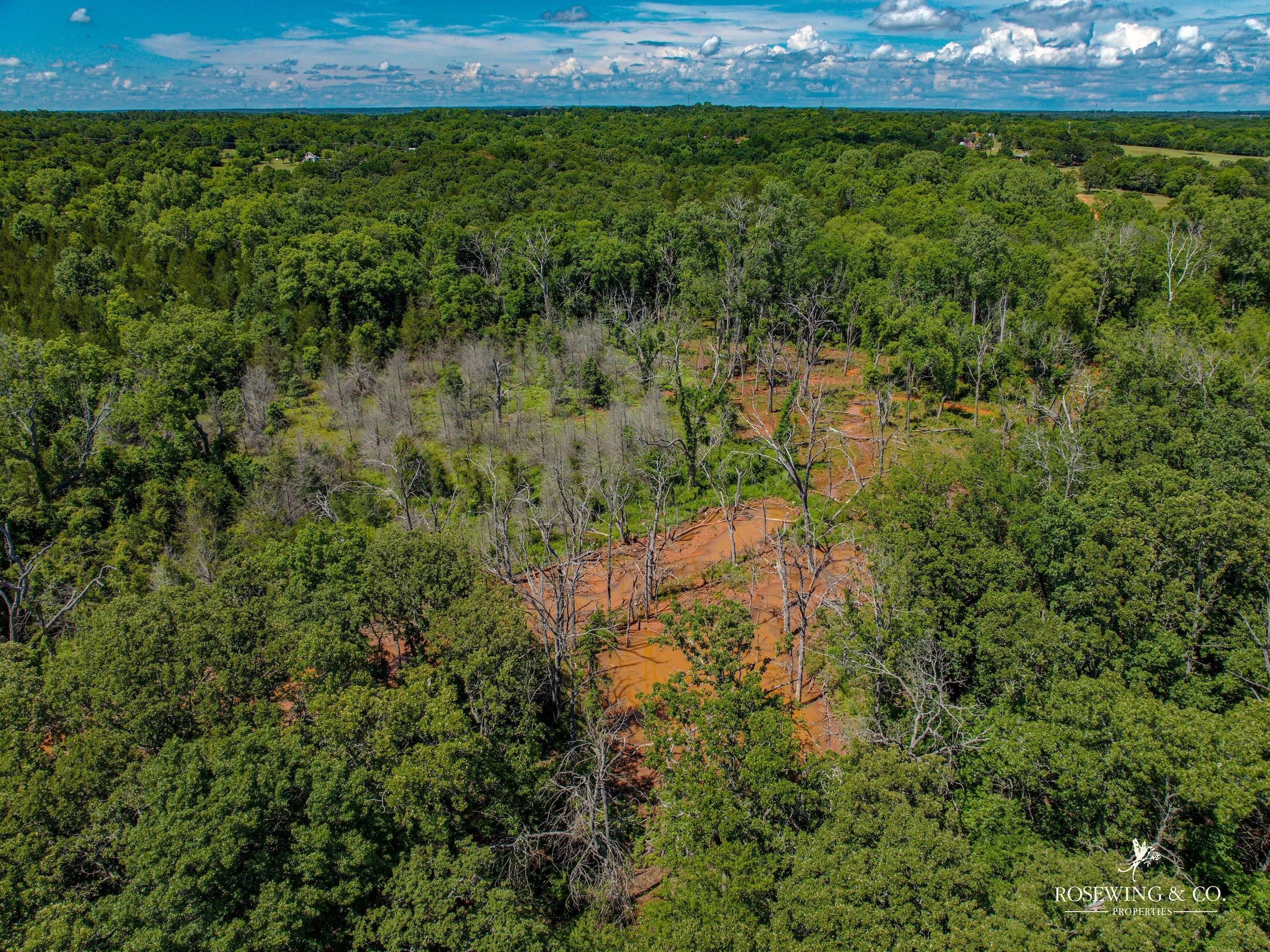 dji_fly_20260529_042142_896_1780419787277_photo.jpg