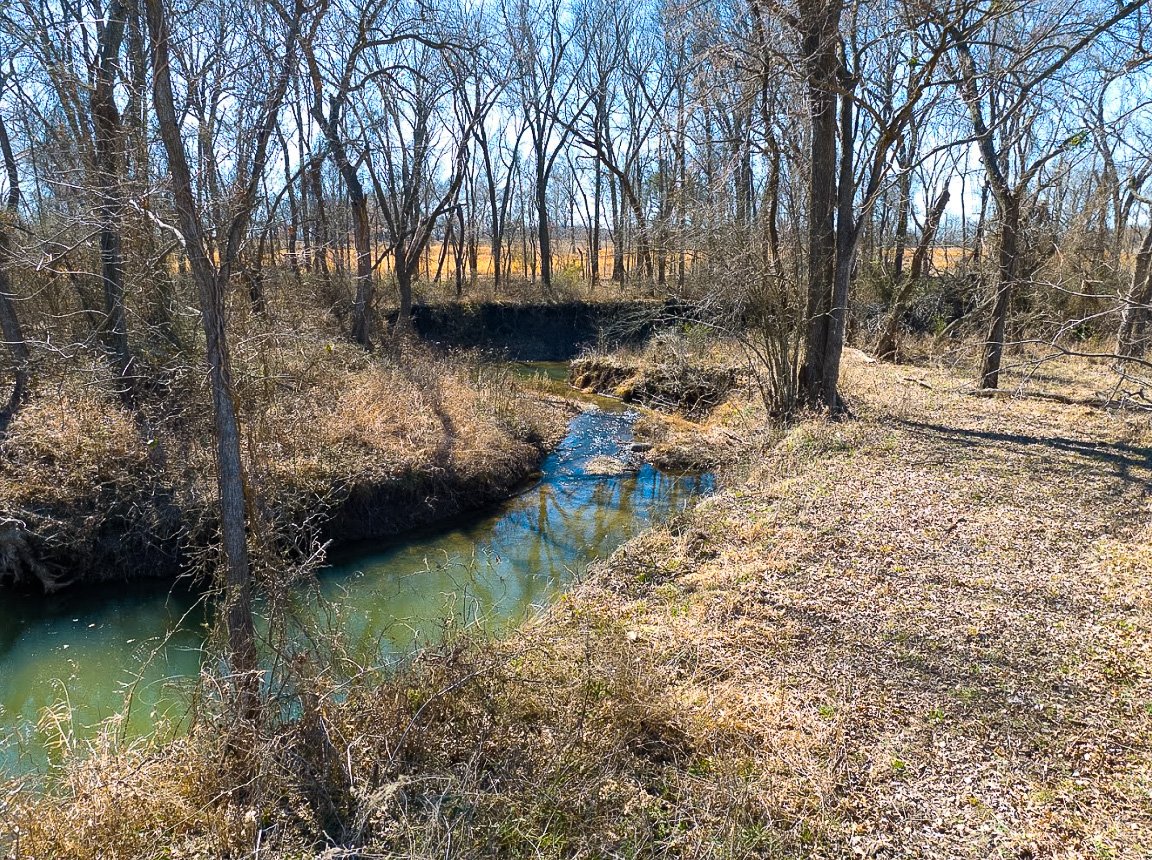 A small, winding creek flowing through a forested area with mostly leafless trees and a dirt path on the right side.
