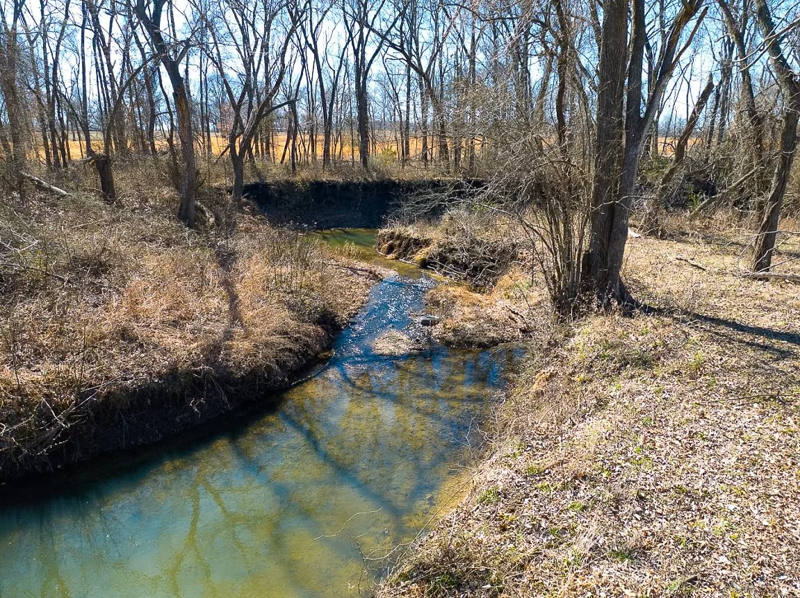 A small stream flowing through a wooded area with leafless trees and dry grass, under a clear blue sky.
