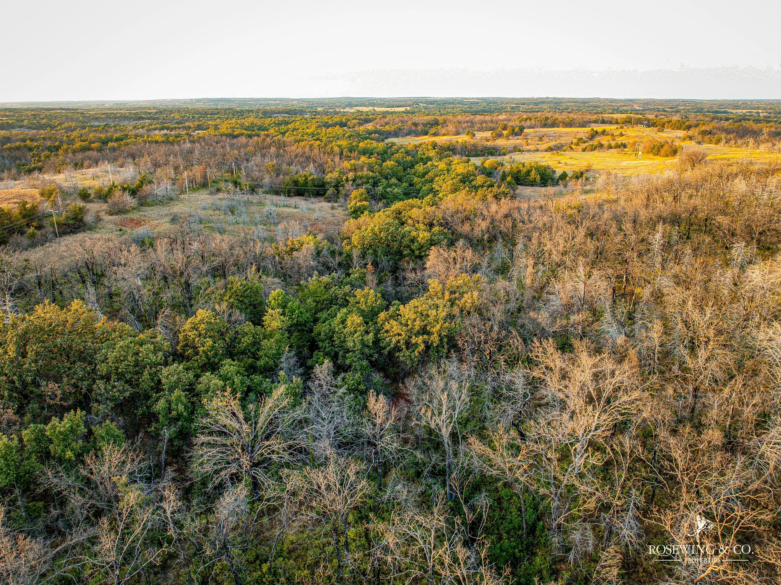 dji_fly_20260910_081756_41_1789057136701_photo.jpeg